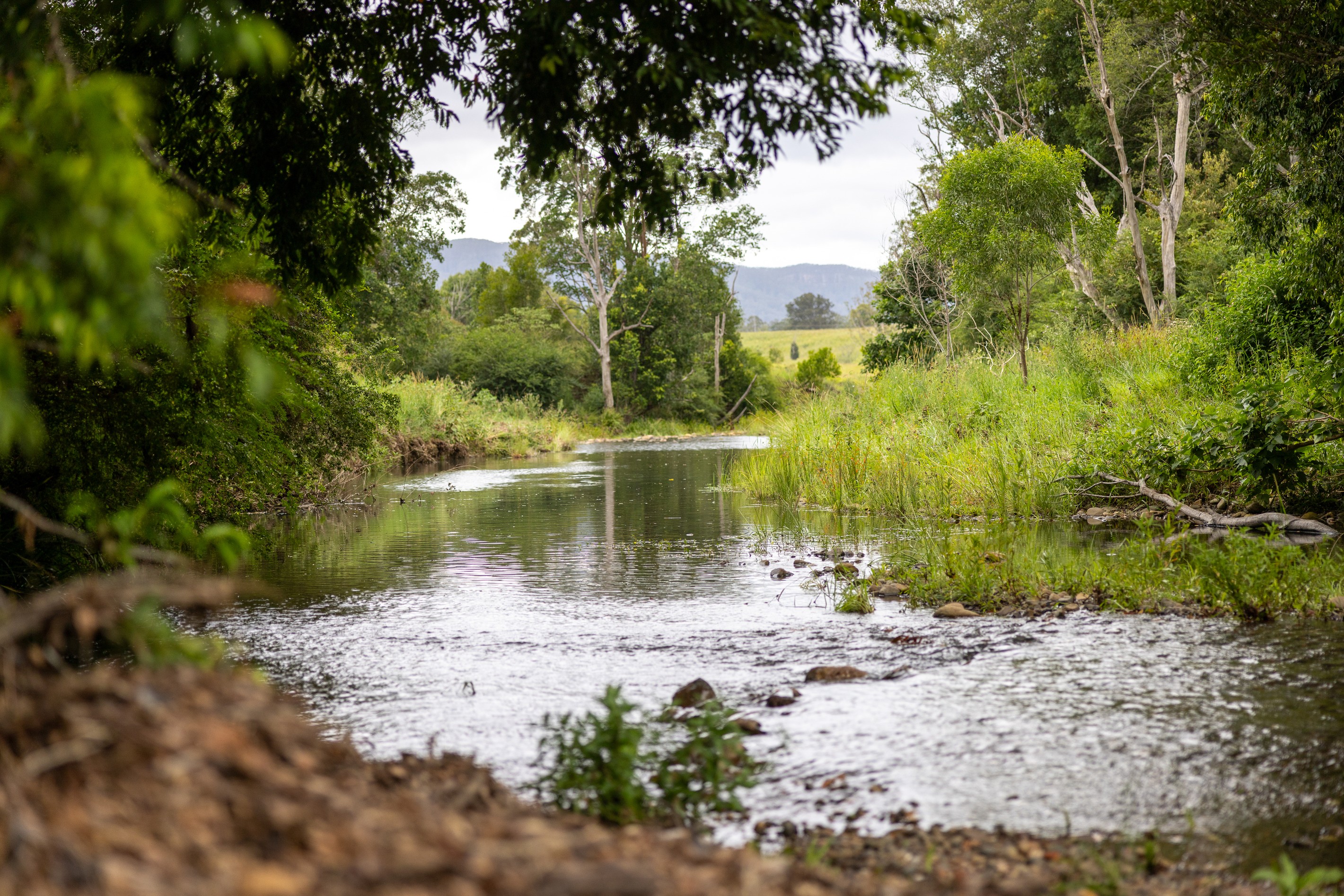 63 Mount Coxcomb Road, Upper Lansdowne, NSW 2430