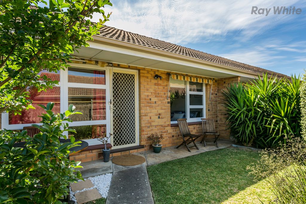 12-14 Elizabeth Avenue, Plympton SA 5038