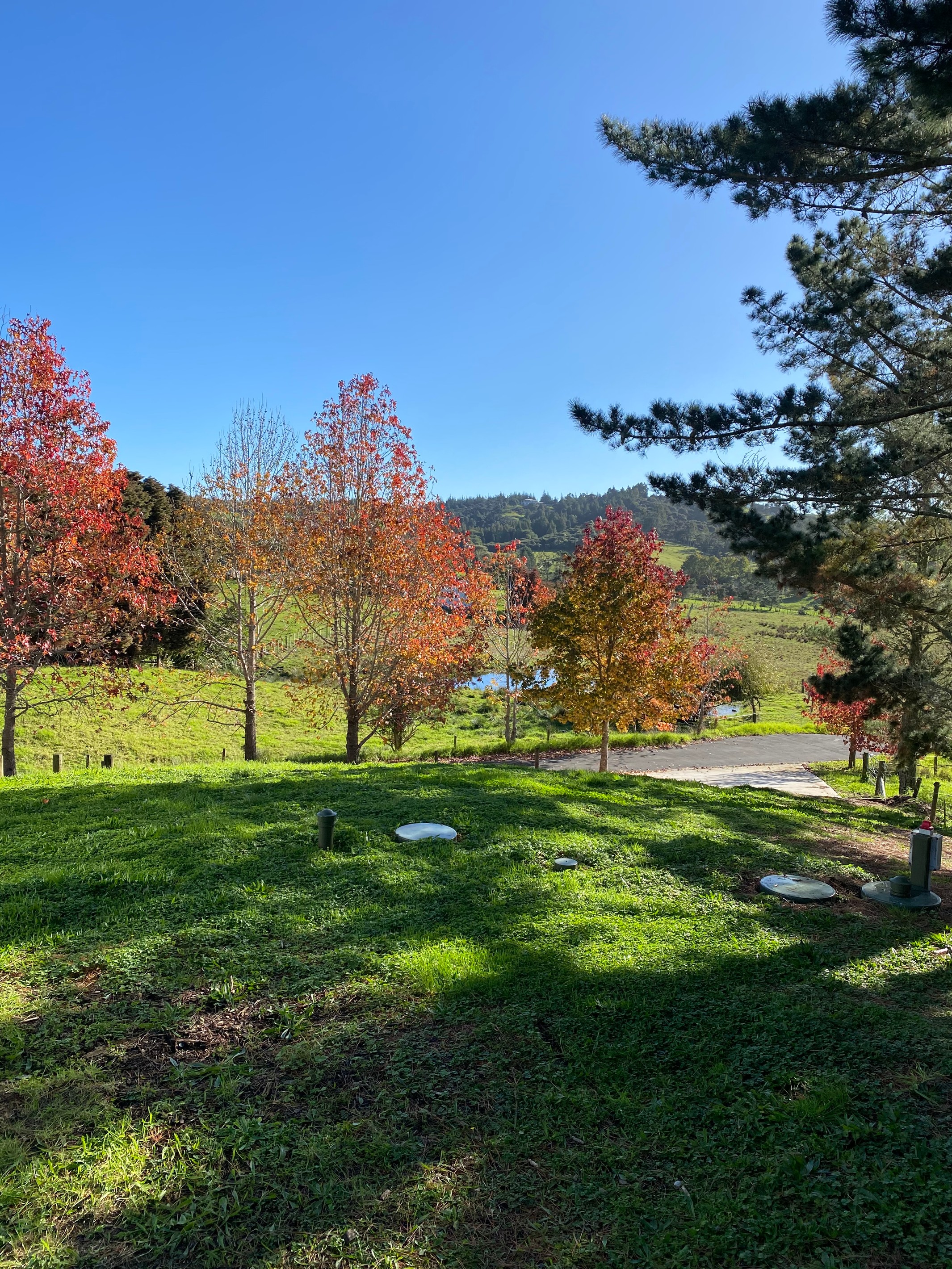 430 Blackbridge Road, Dairy Flat, Rodney