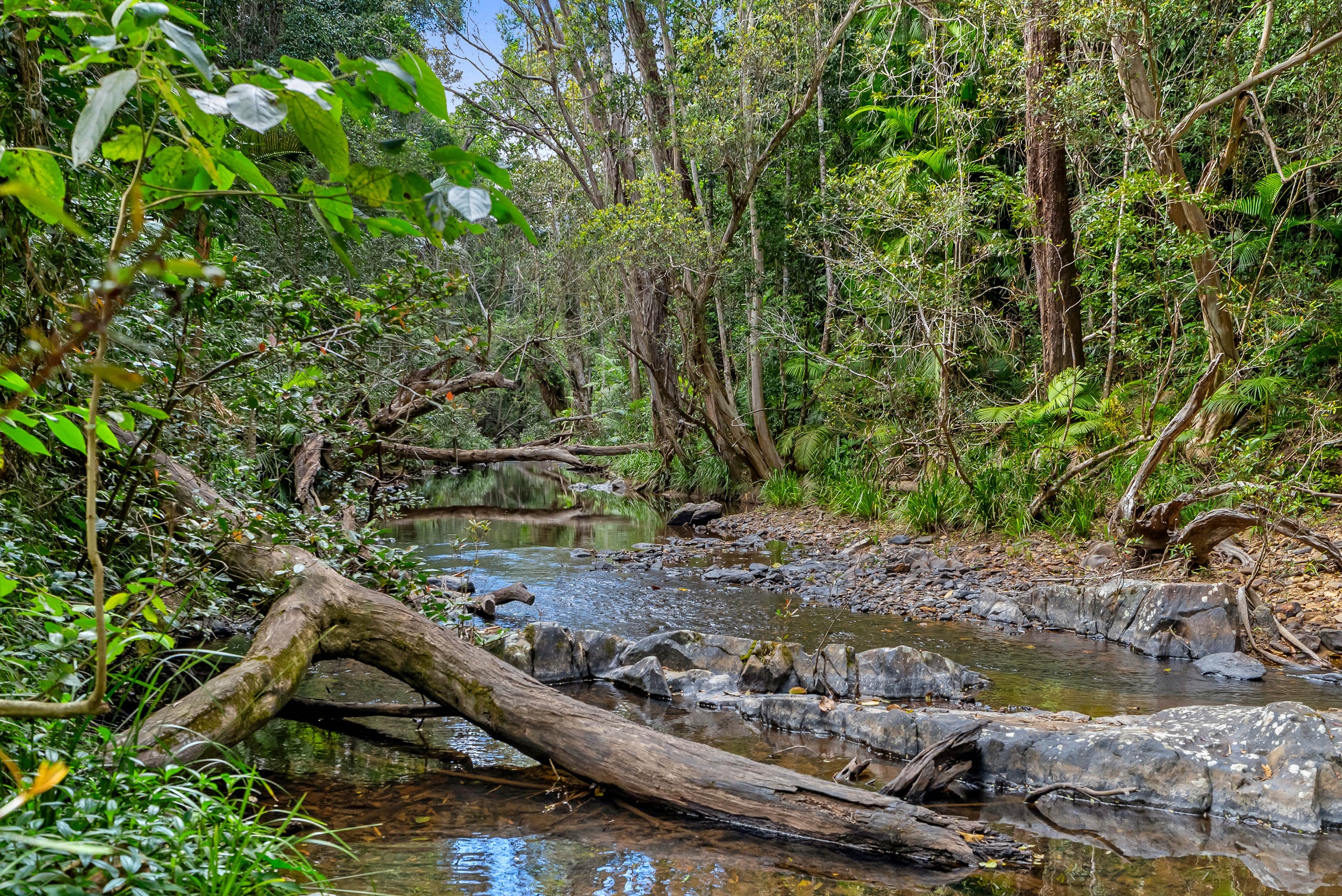 242 Ganyan Drive, Speewah, QLD 4881