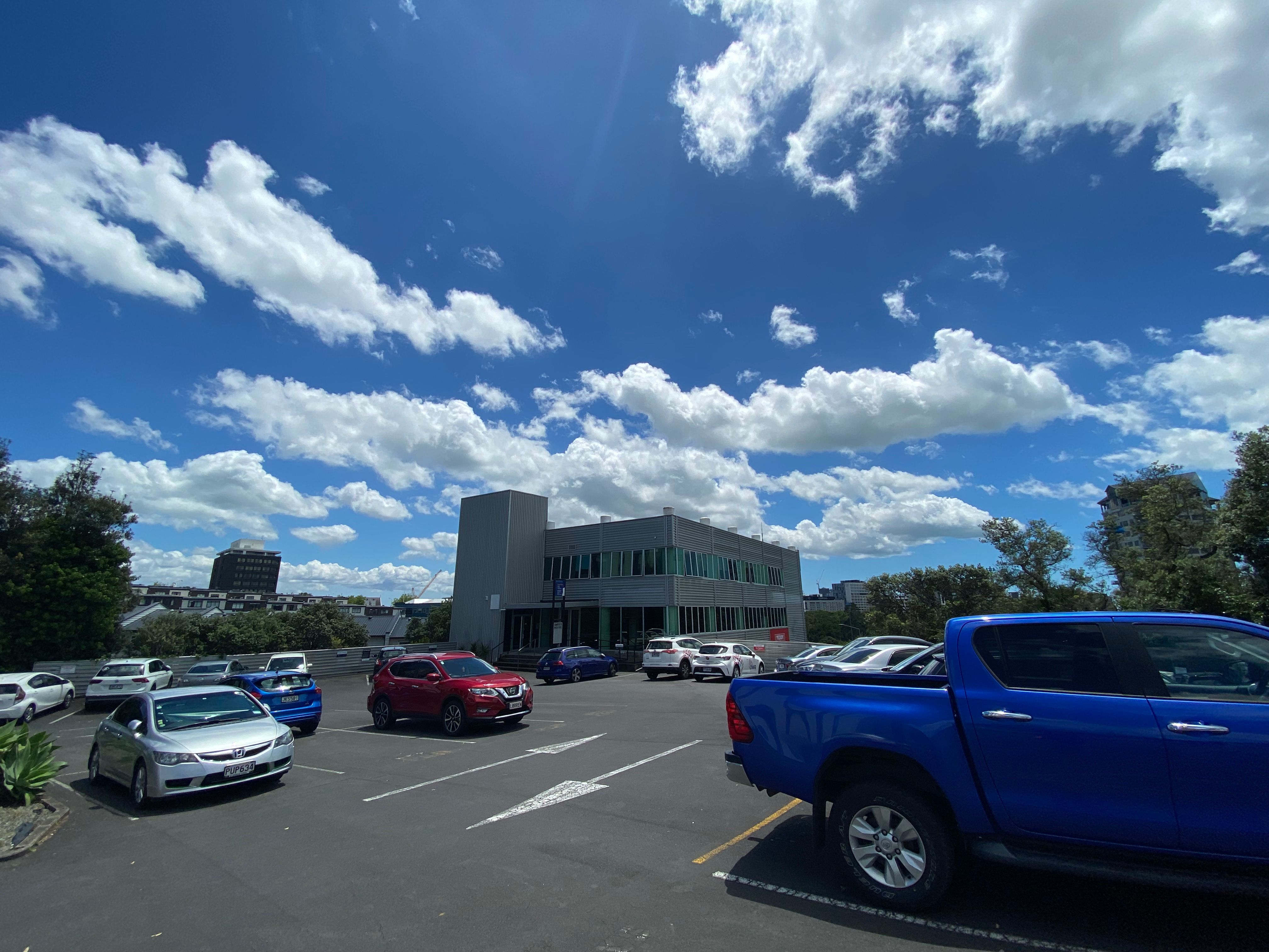 Grafton, Auckland City