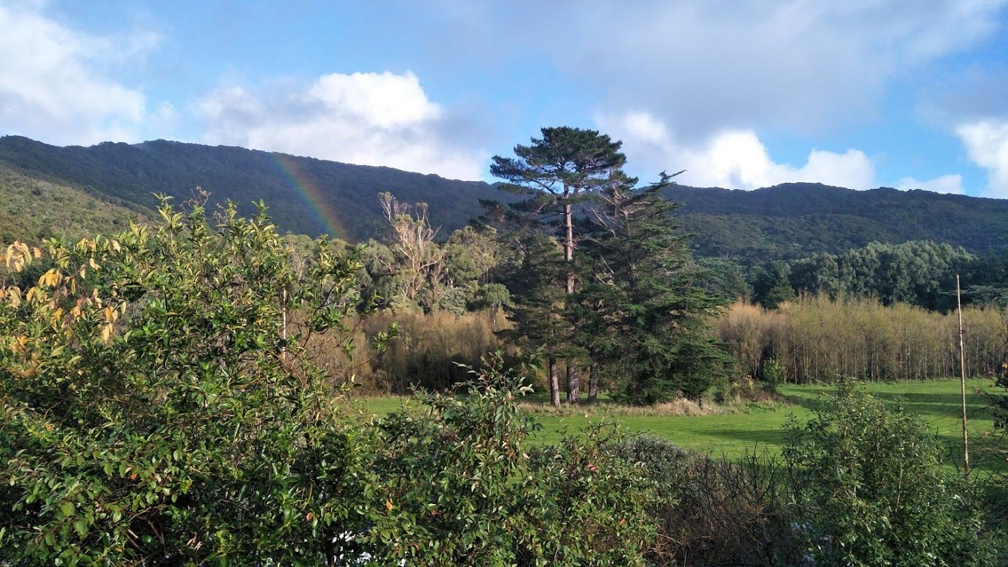 88 Wood Street, Wainuiomata, Lower Hutt City
