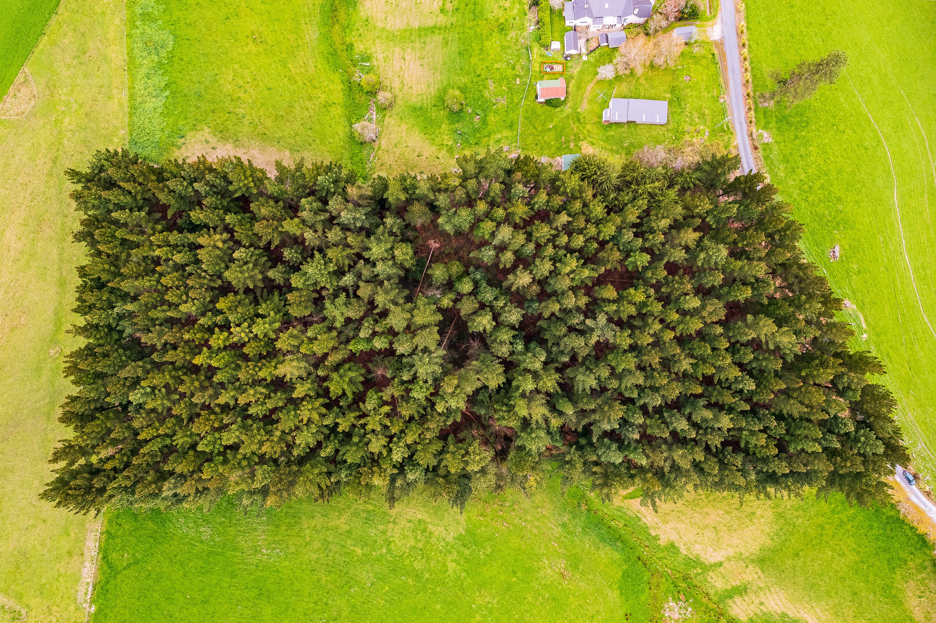 0 Hill Street, Lawrence, Clutha District