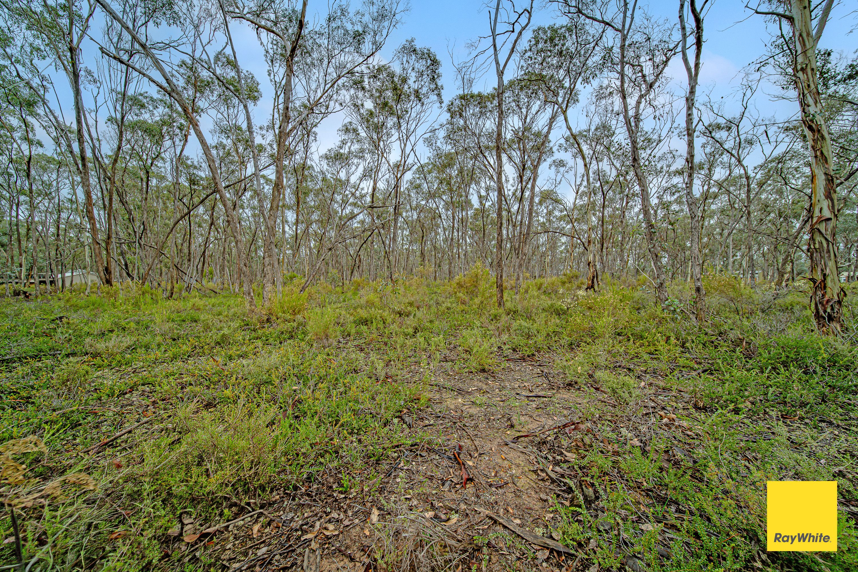 50 Melaleuca Avenue — photo 4 of 9