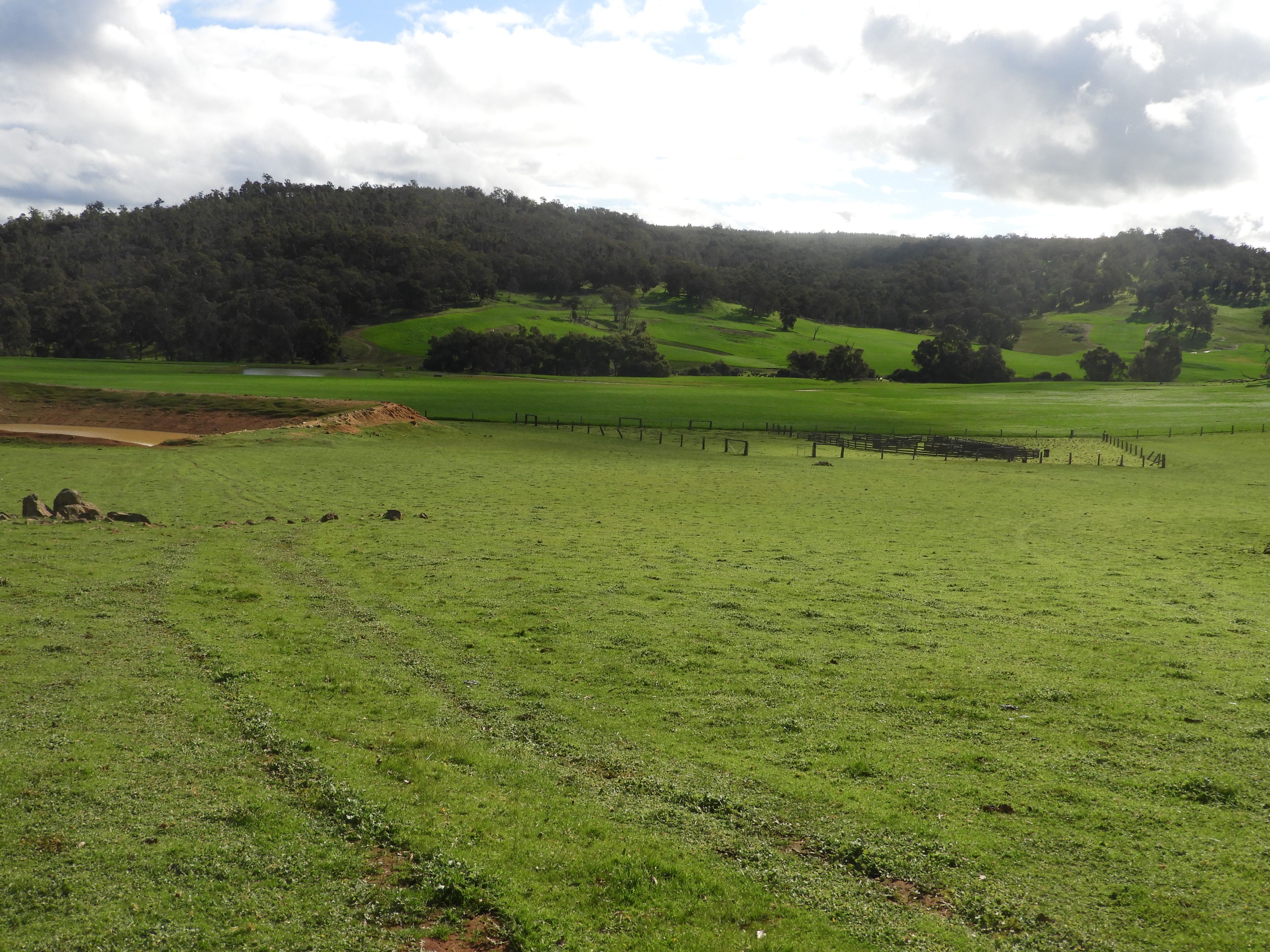 Kyellen Farm, Quindanning-Darkan Road — photo 30 of 30