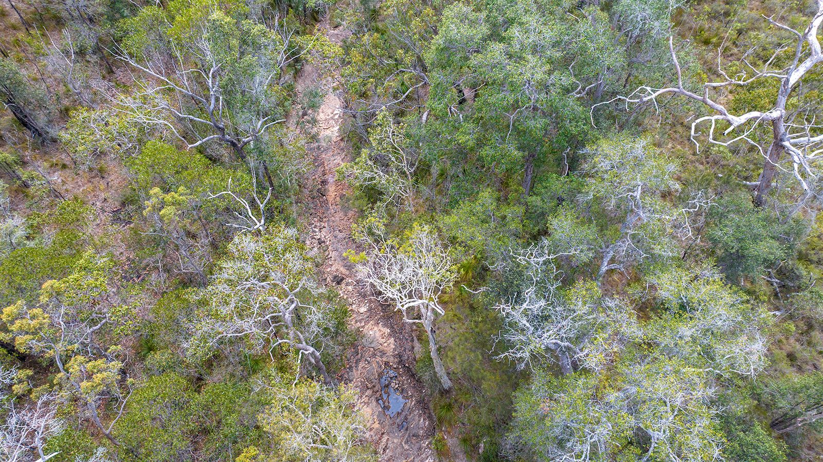 Lot 21 Baldaw Road — photo 3 of 13