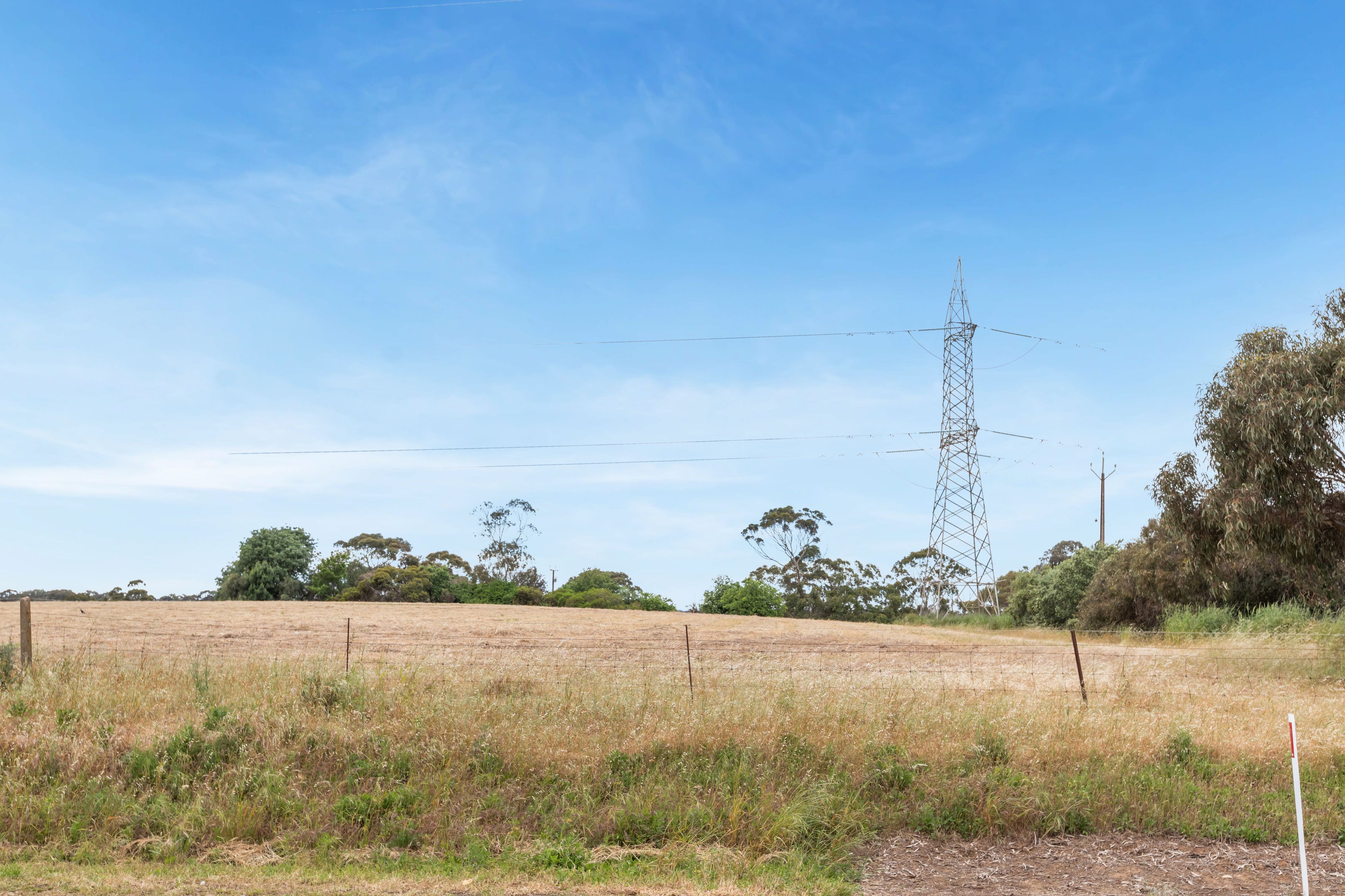 883 Black Top Road — photo 11 of 23