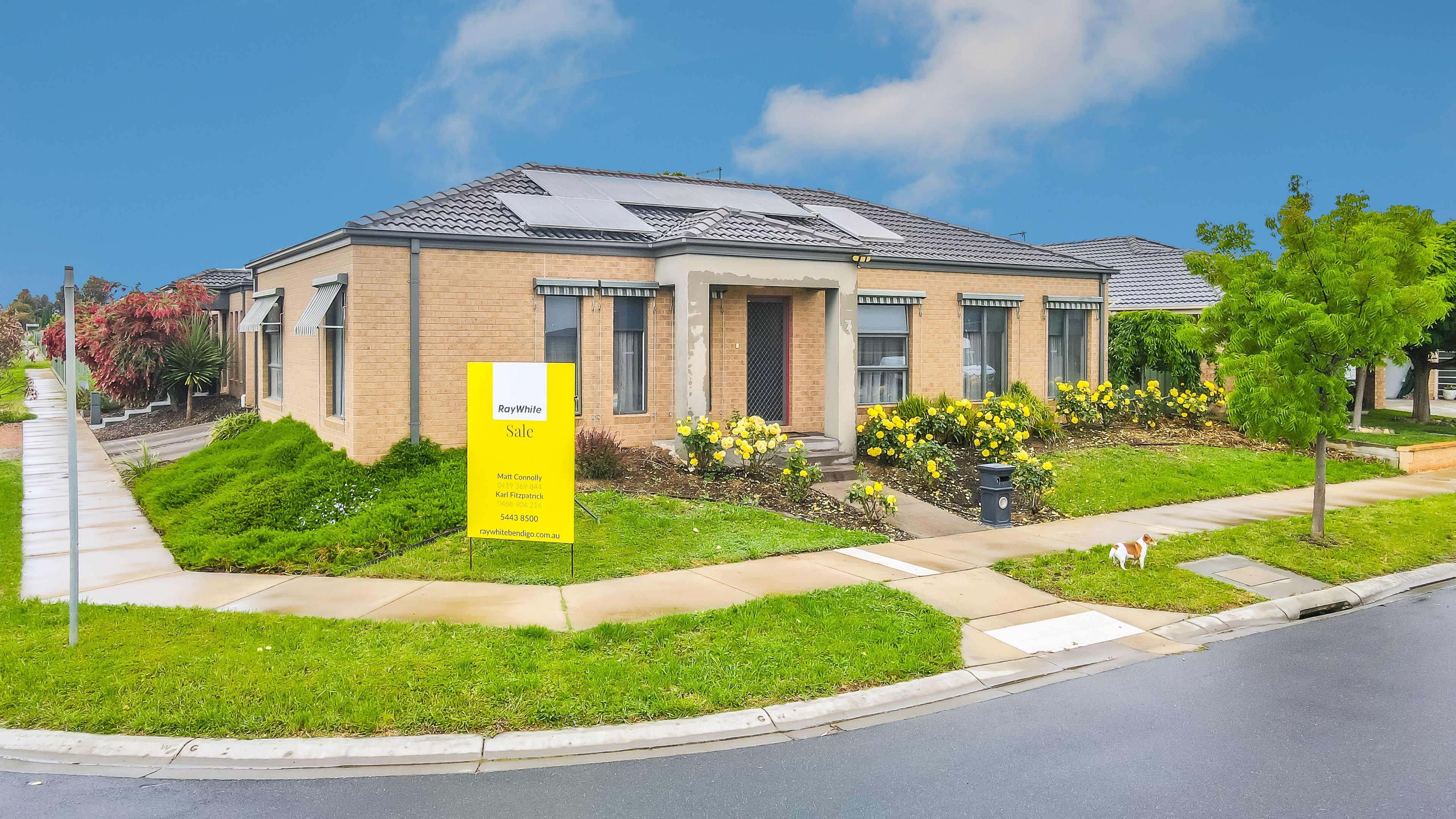 7 Blay Street, Epsom, VIC 3551 Sold House Ray White Bendigo