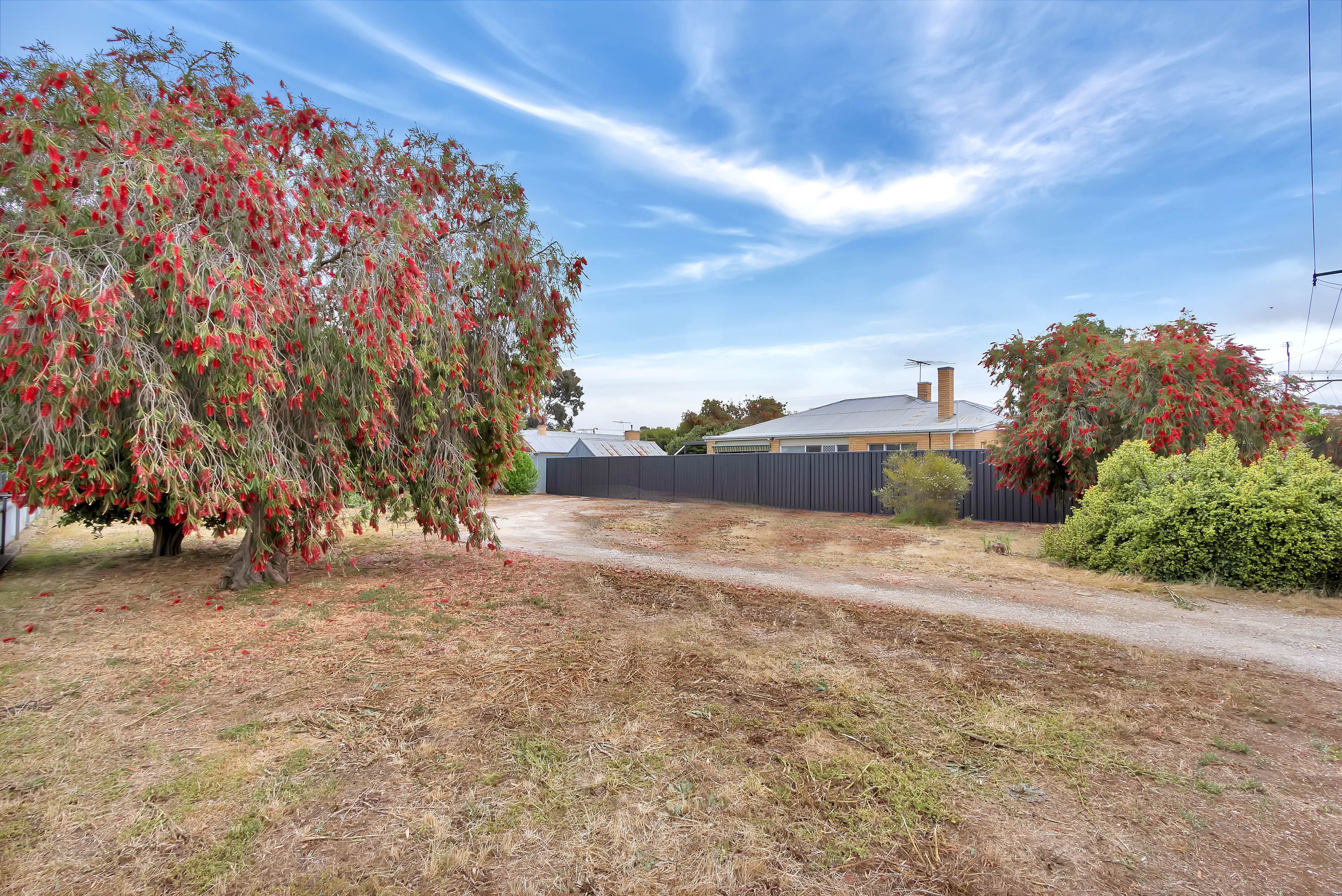 Lot 742 Krieg Street, Nuriootpa, SA 5355