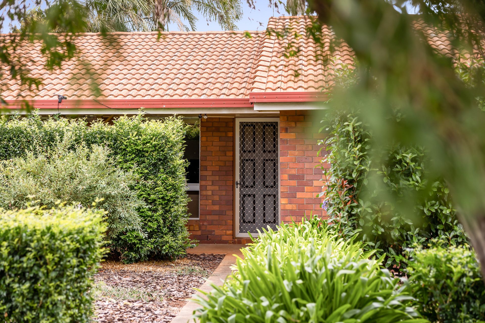 22 Redwood Street, Newtown QLD 4350