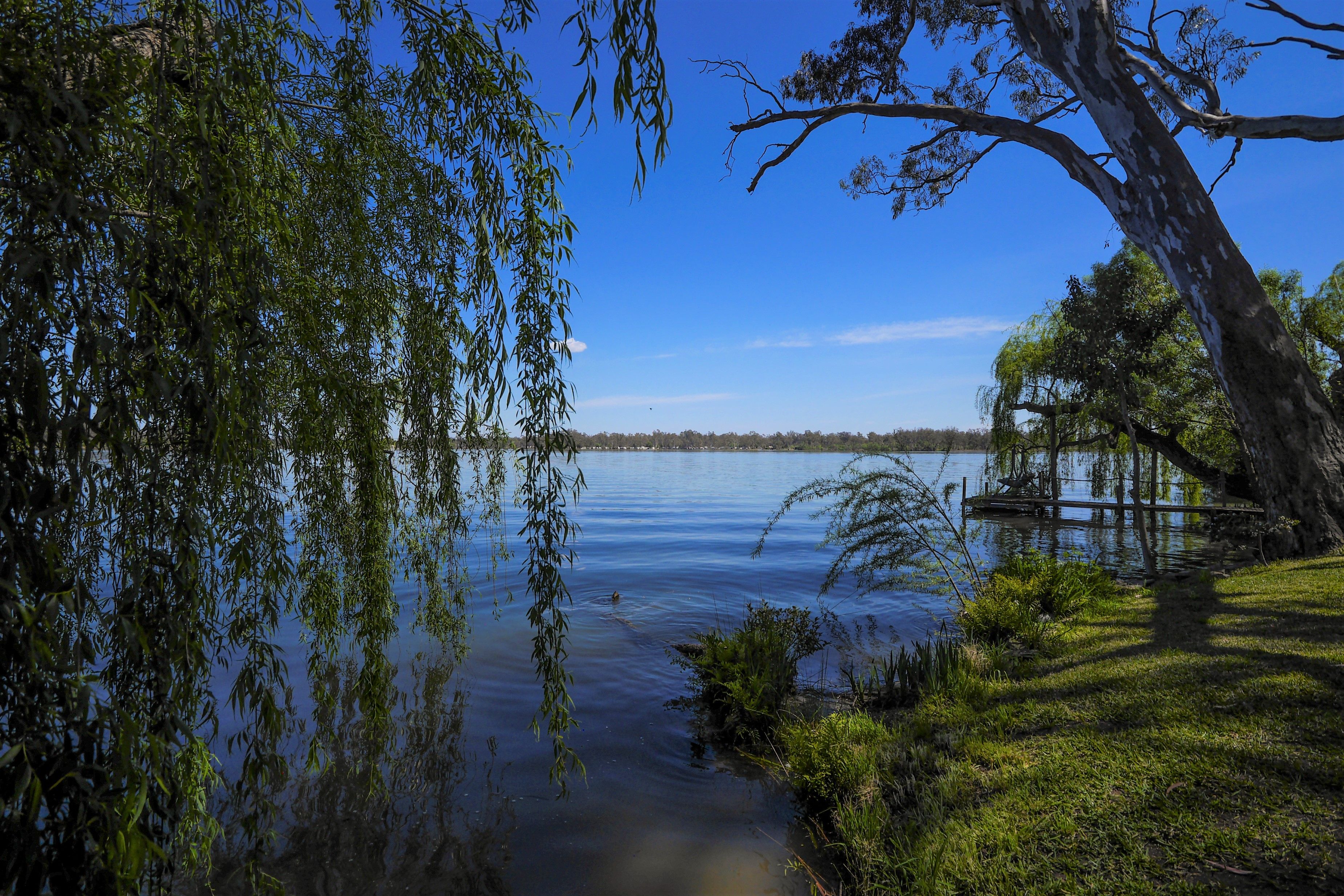 41B Young Street, Nagambie VIC 3608