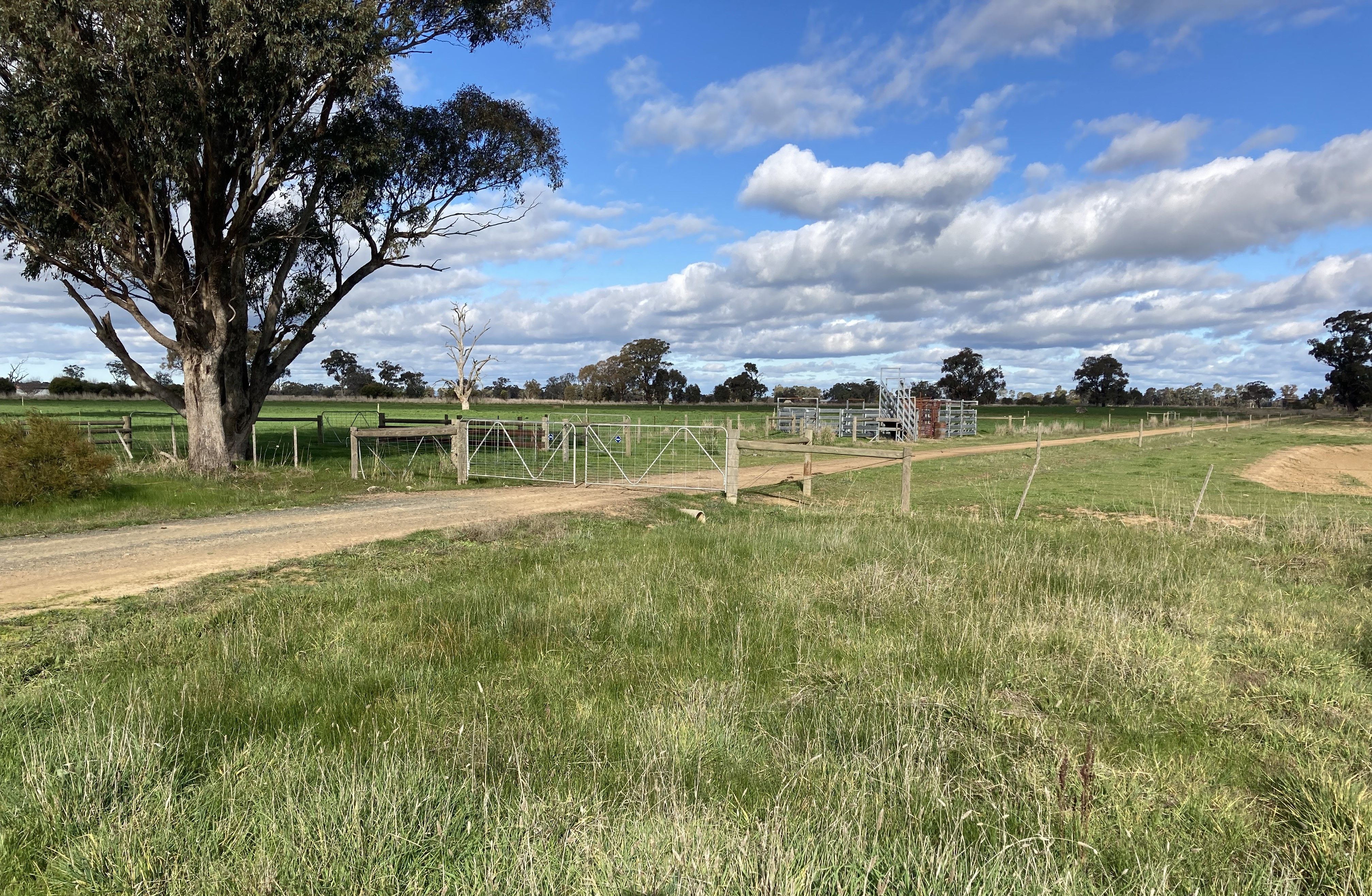 565 Kiota Road, Dhurringile, VIC 3610 Sold Rural Farmlet Property