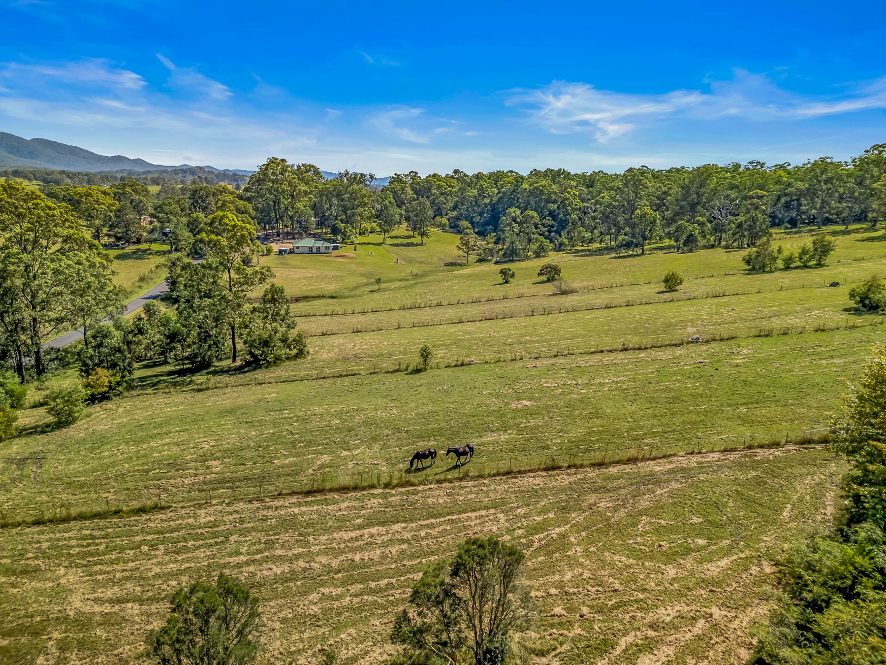 73 Terreel Road, Wards River, NSW 2422
