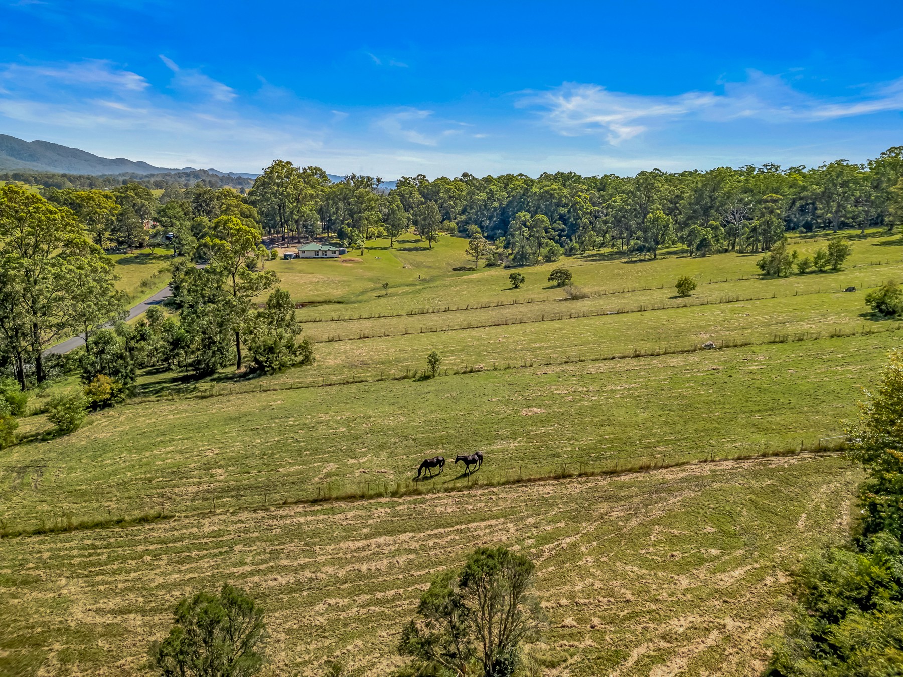 73 Terreel Road, Wards River, NSW 2422