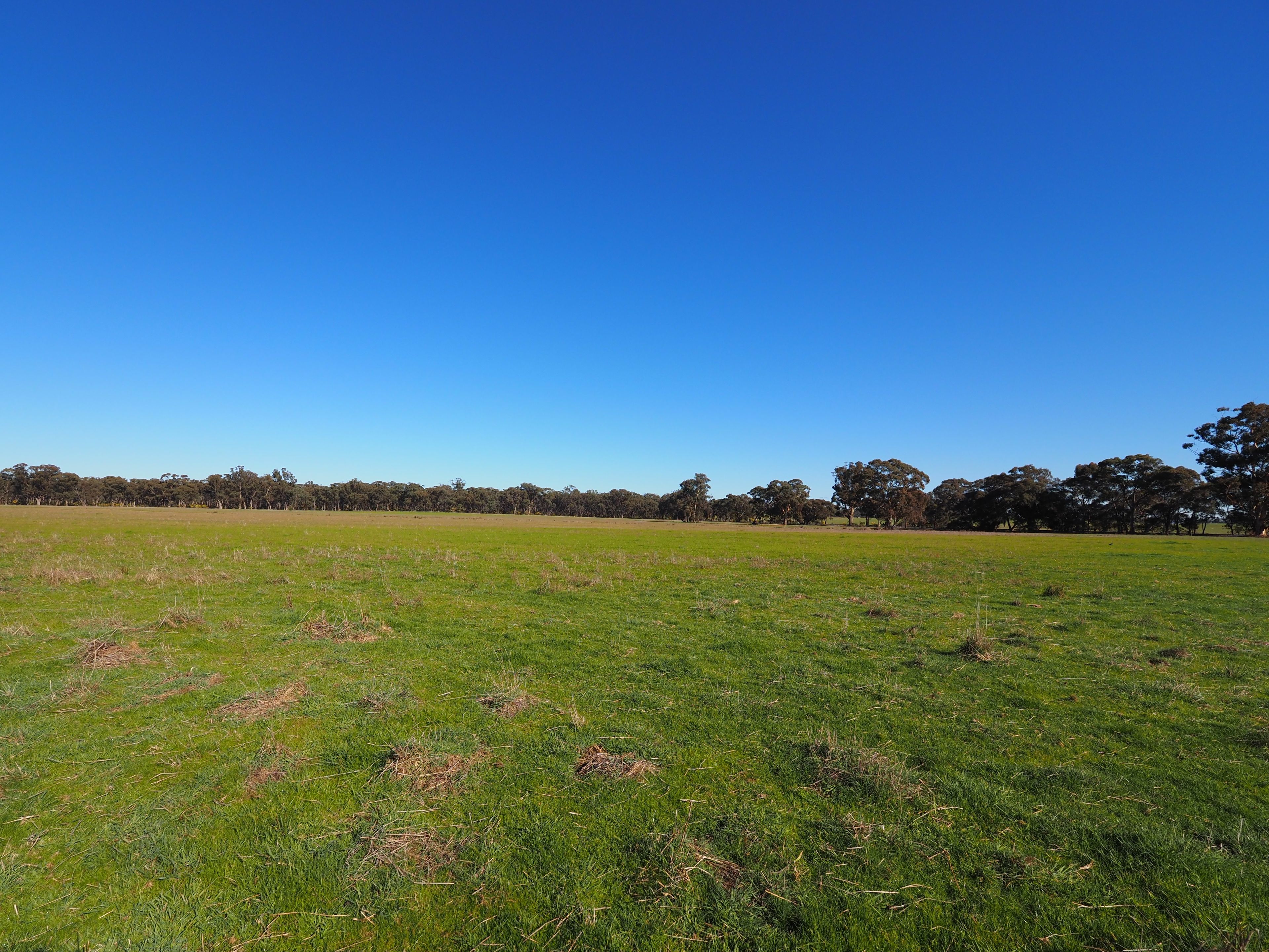 Homebush, VIC 3465