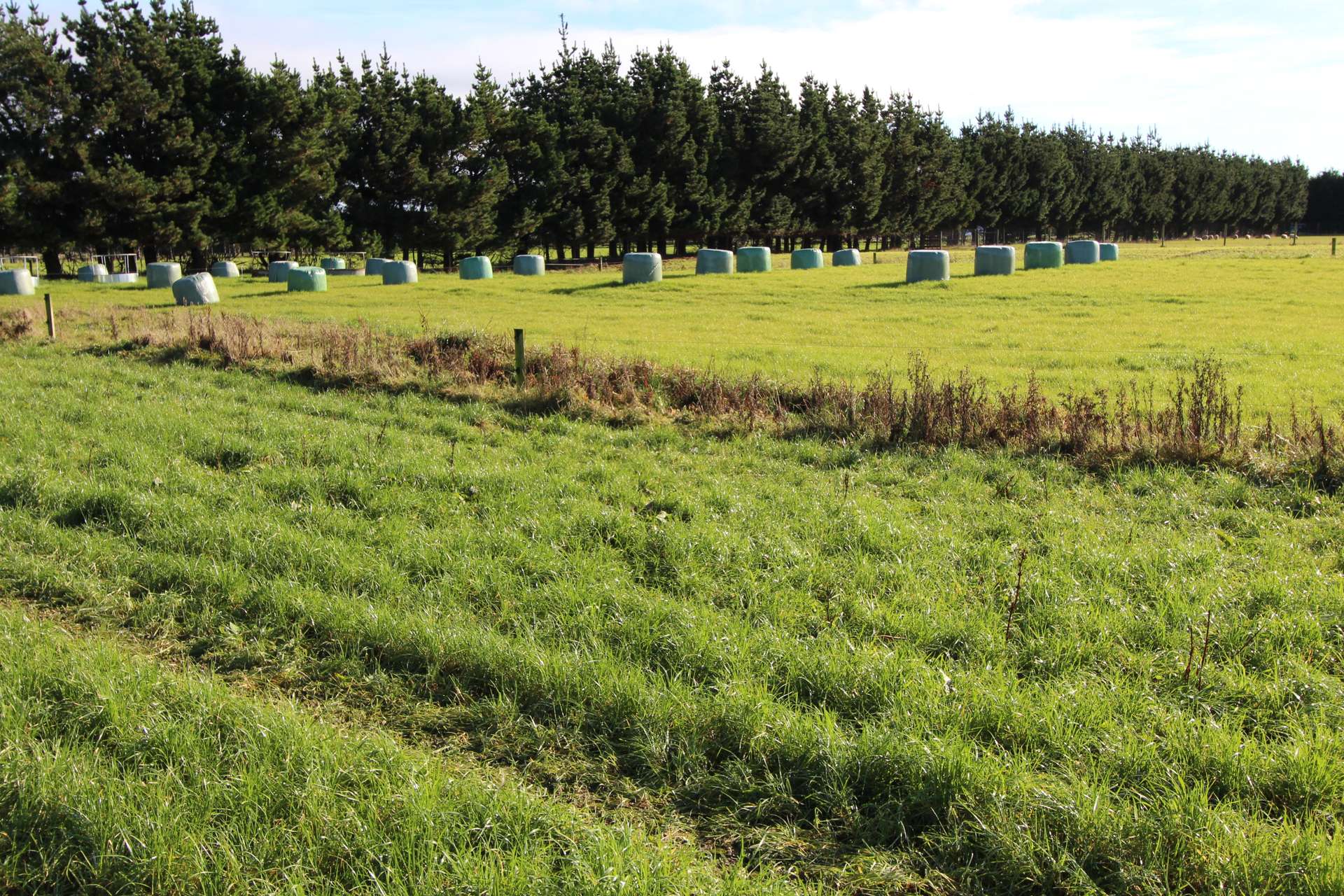 Lot 2 Oteramika Road photo 6
