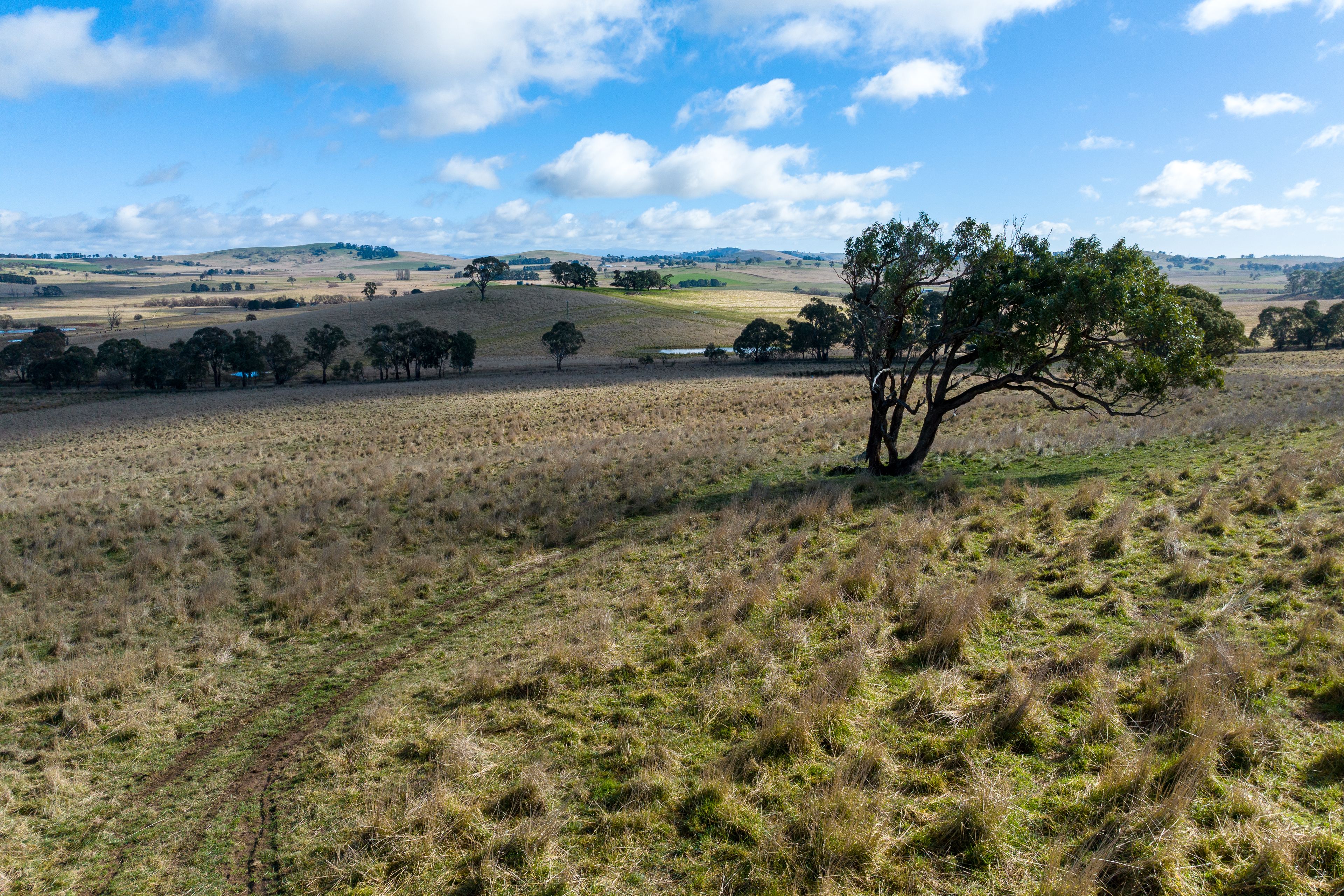 410 Moorilda Road, Newbridge, NSW 2795 Sold Rural Cropping Property