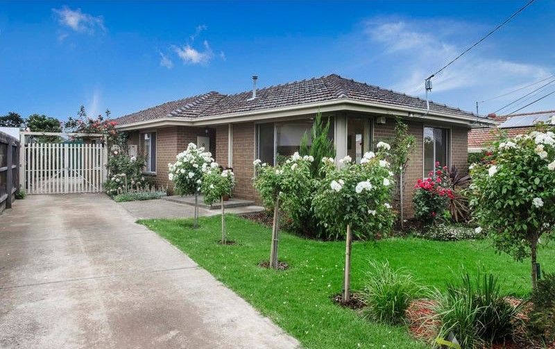 8 Snow Street — photo from Ray White The Bayside Group