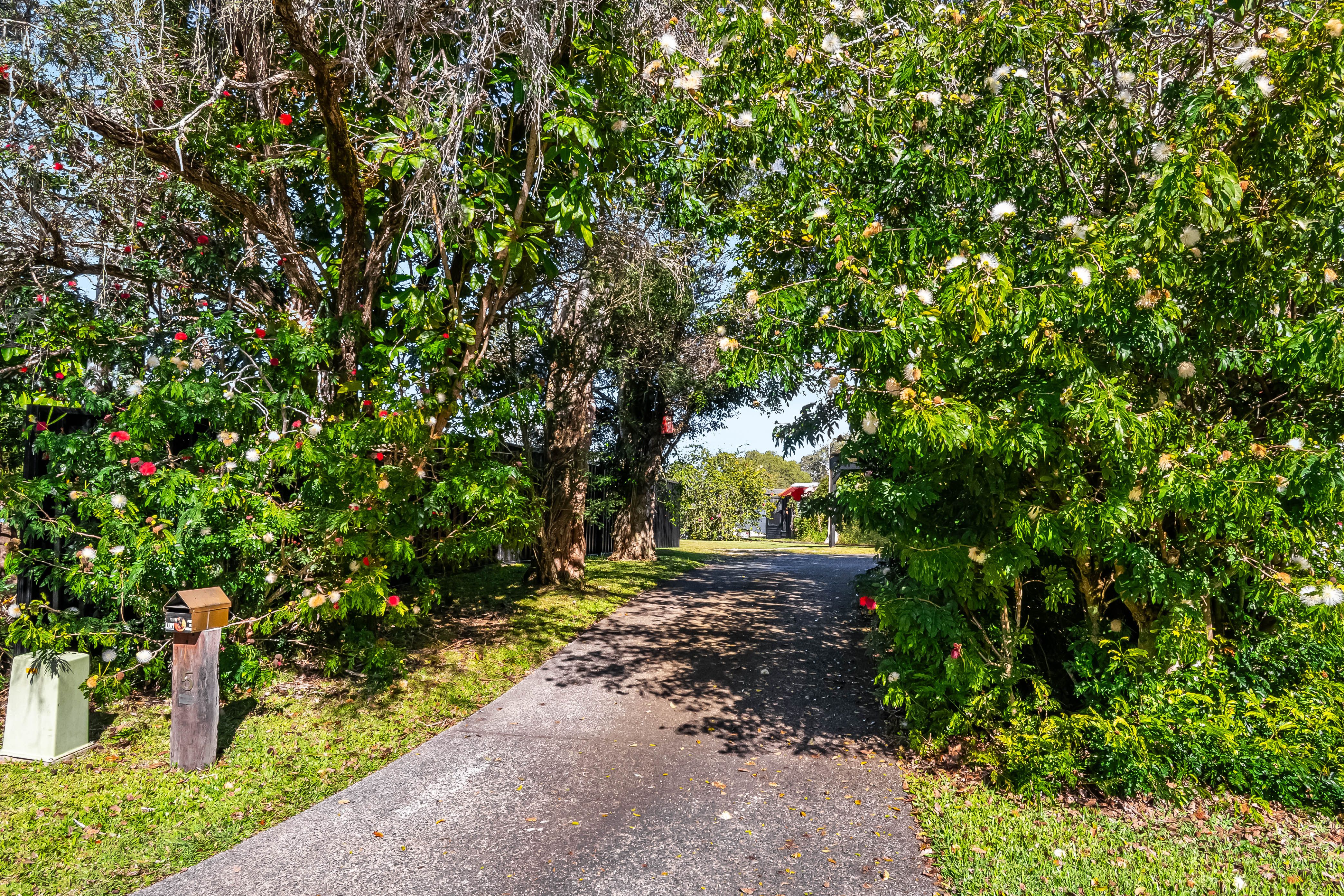 4 Hibiscus Place — photo 5 of 11