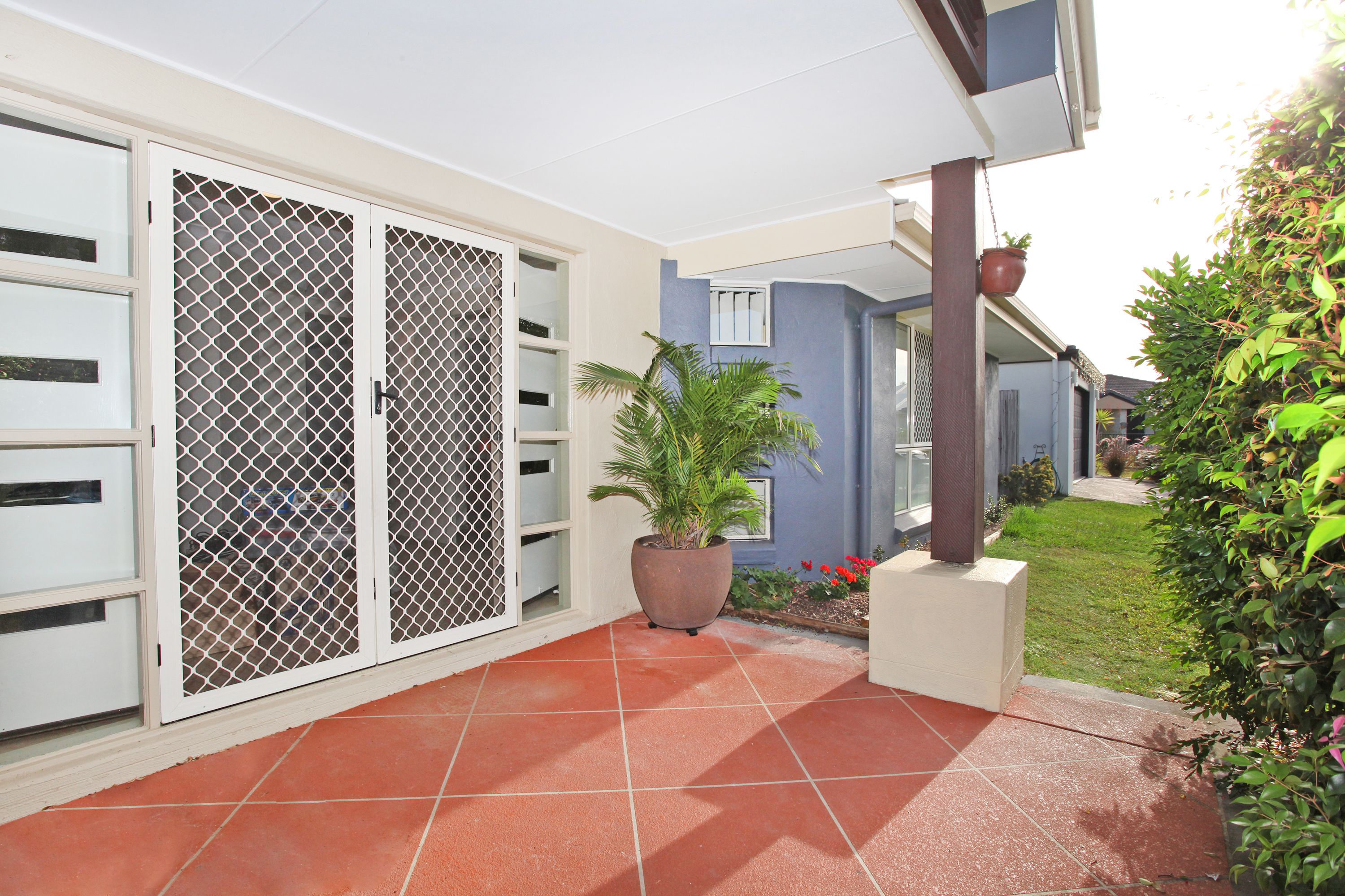 3 Petrale Court, Mountain Creek, QLD 4557