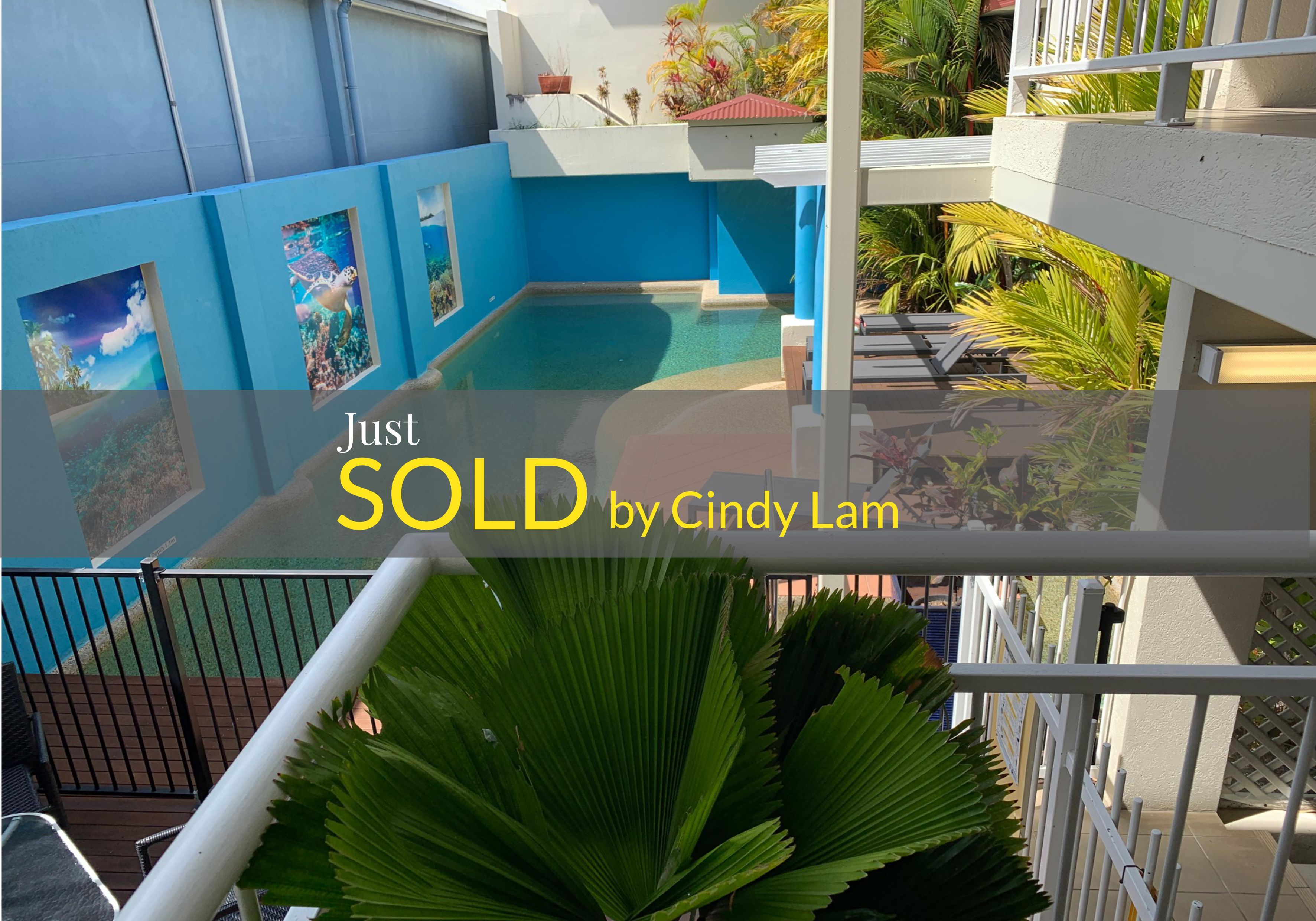 19 Macrossan Street, Port Douglas QLD 4877