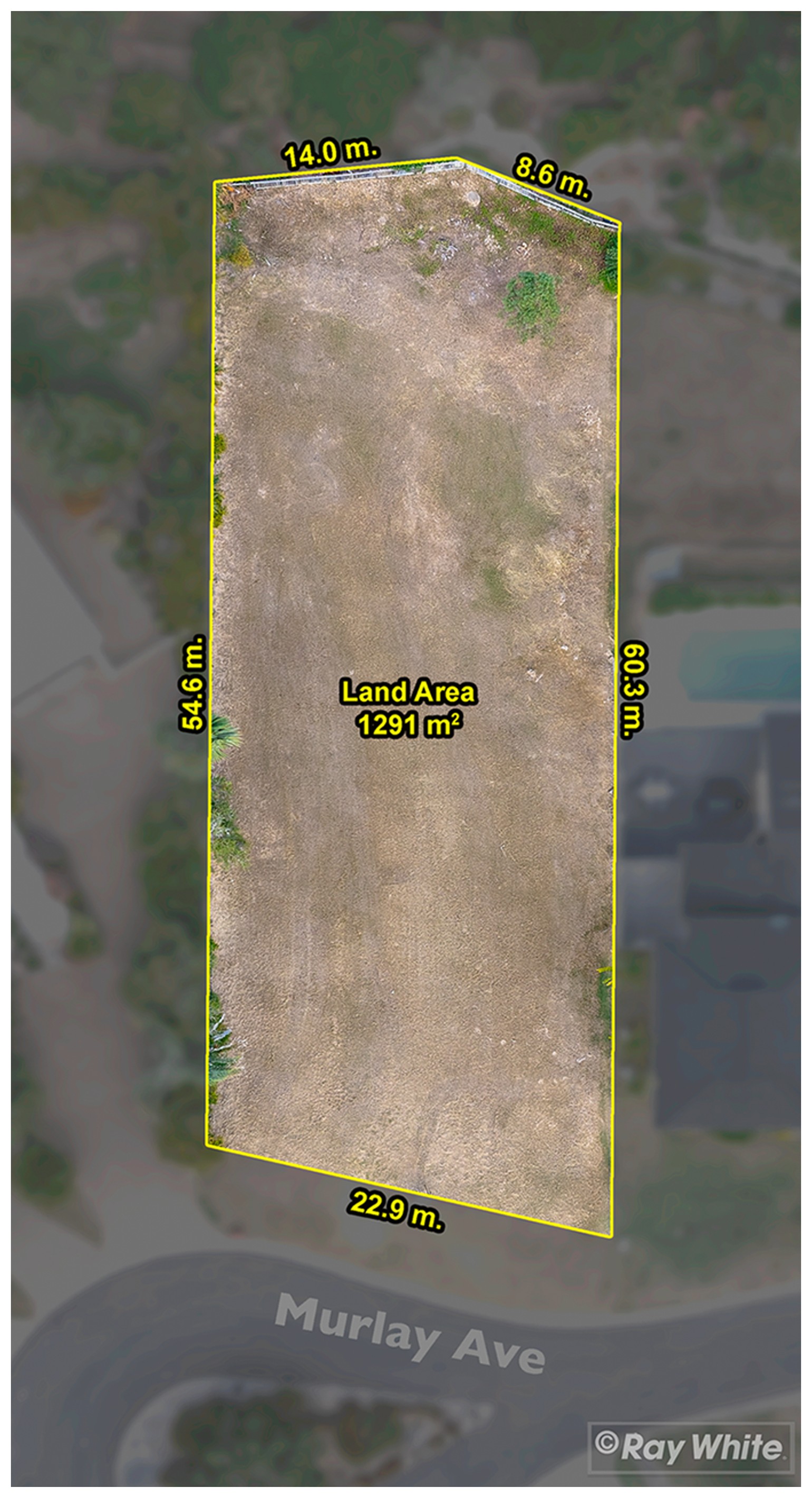 24 Murlay Avenue, Frenchville, QLD 4701