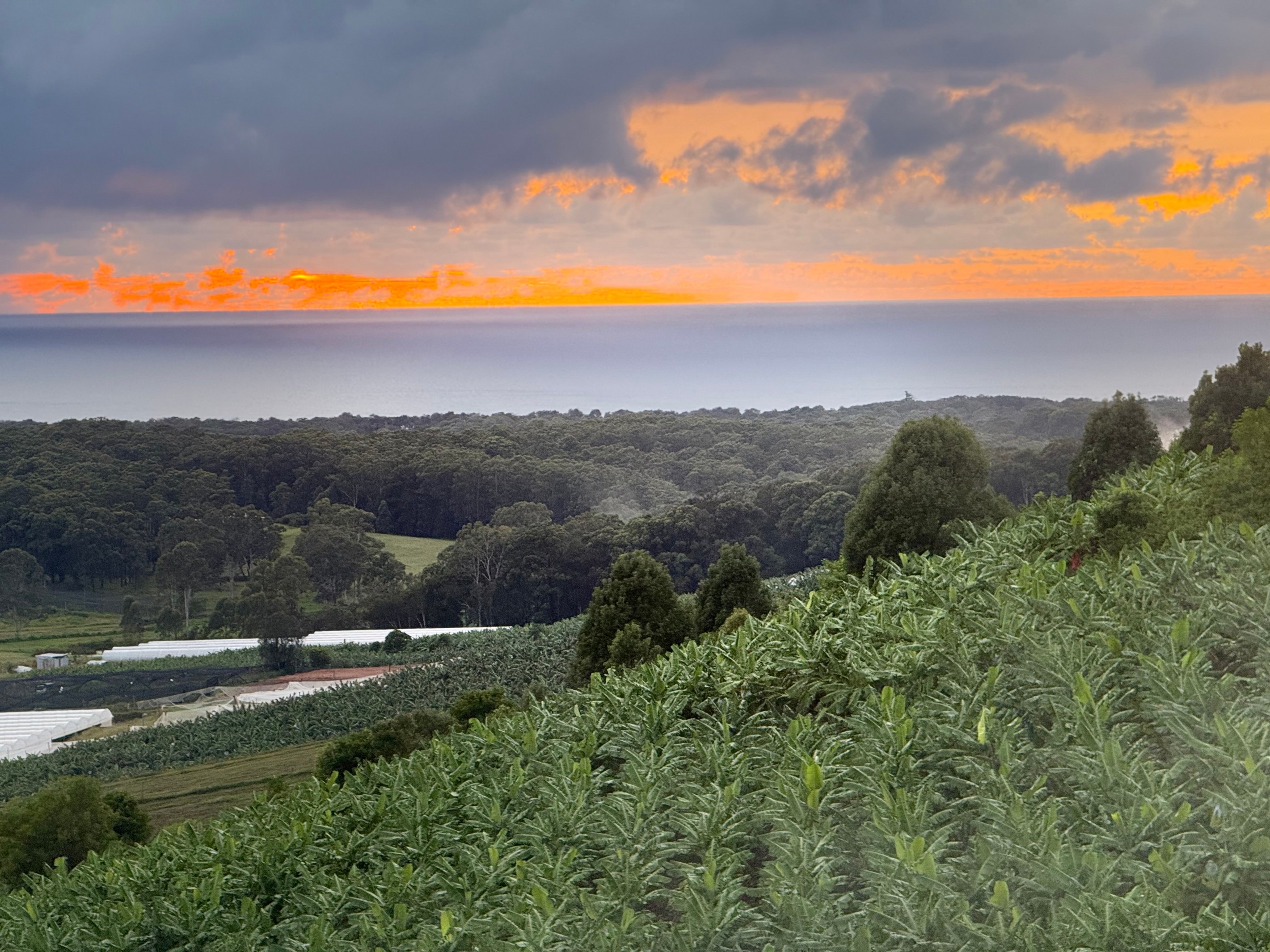 50-50A Rickards Road, Sandy Beach, NSW 2456