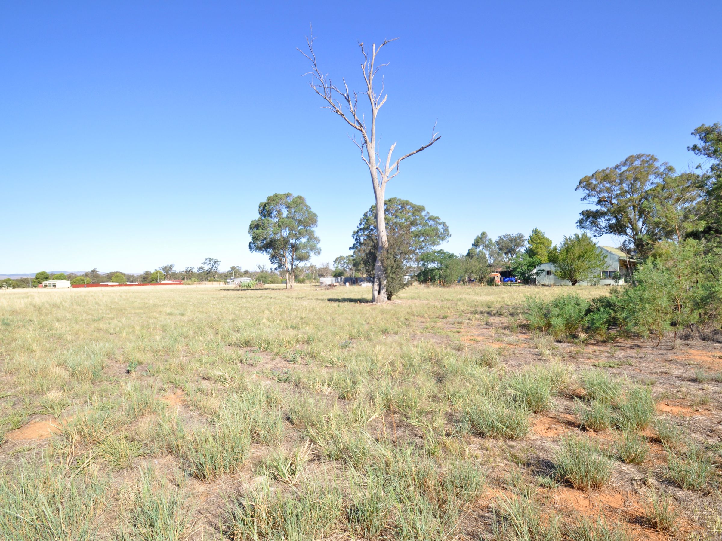 Lots 10-12 Howell Street, Illabo, NSW 2590