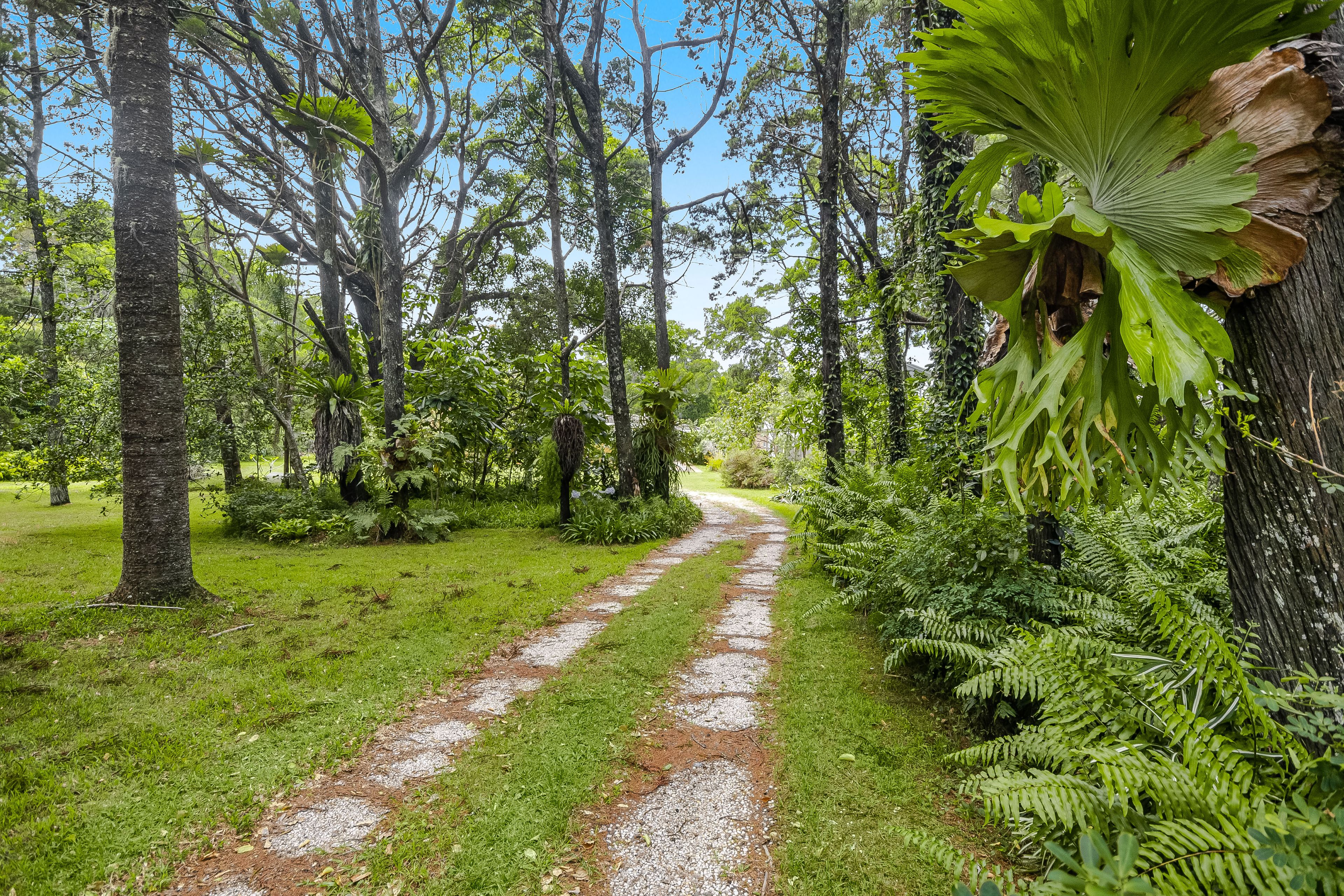 109111 Broken Head Road, Suffolk Park, NSW 2481 Acreage/SemiRural