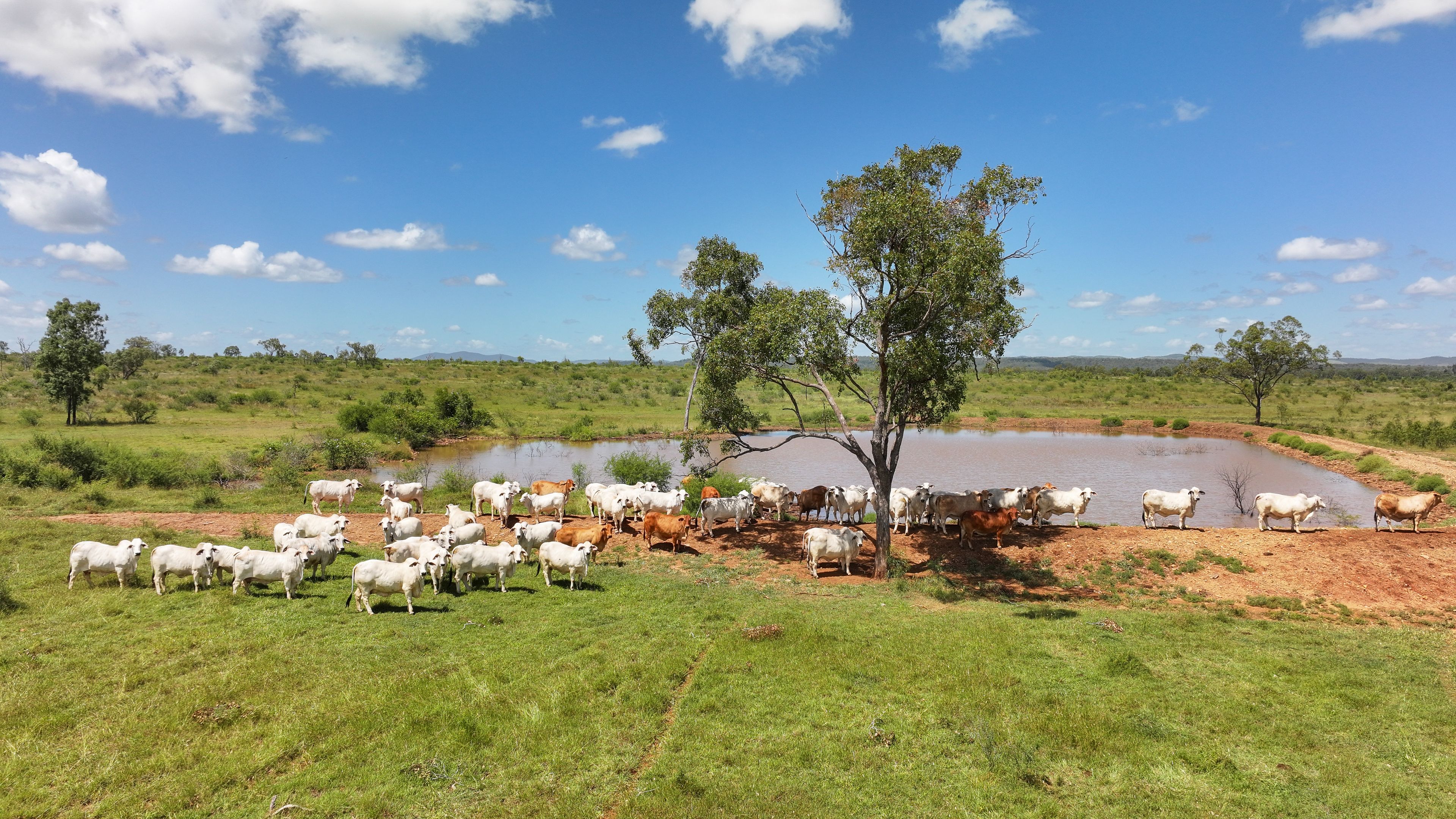 88 Riverslea Road, Gogango, QLD 4702