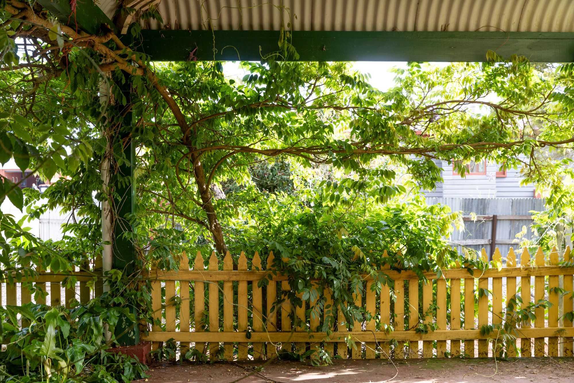 12 Victor Street — photo 15 of 20