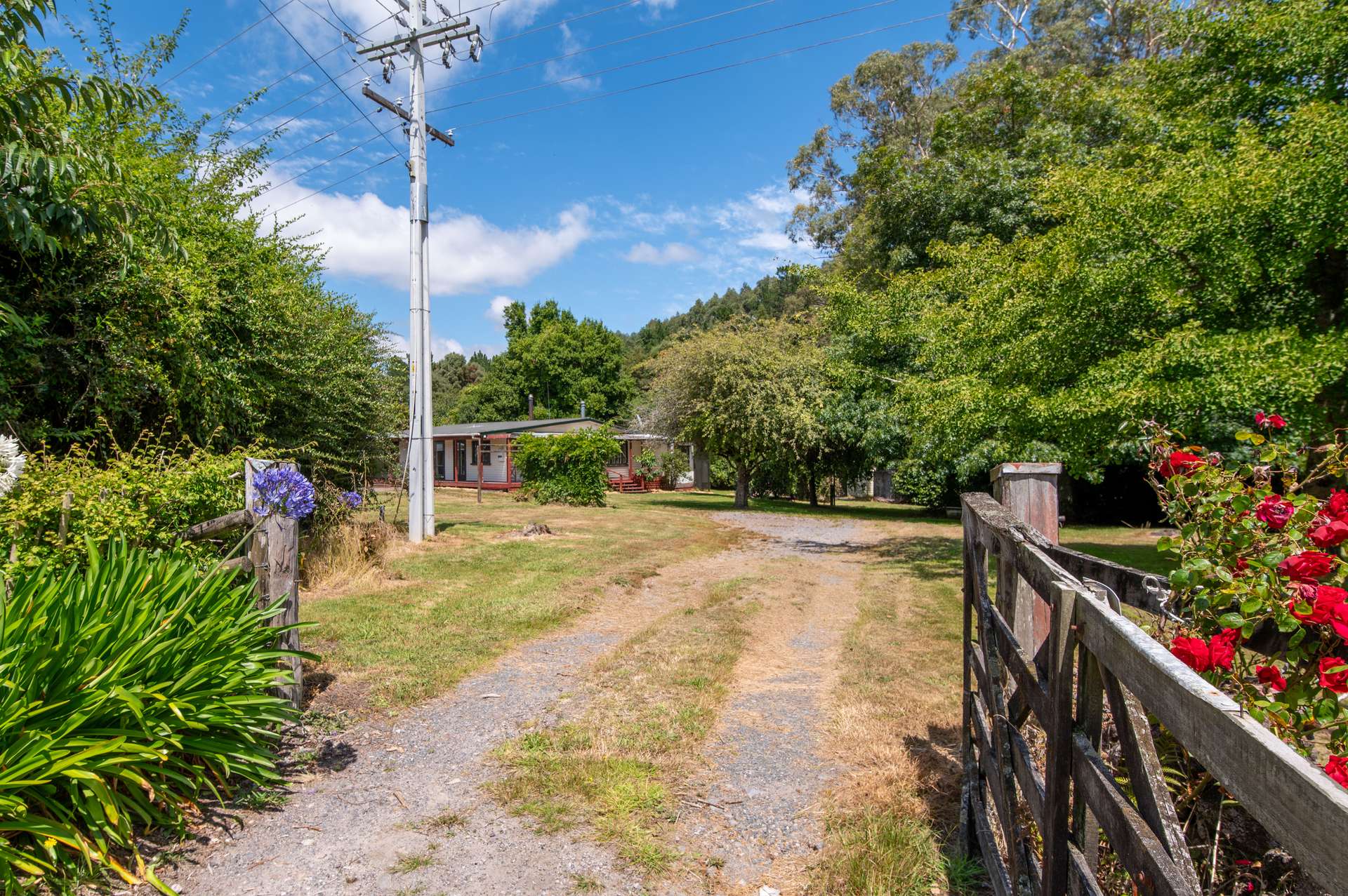 179 Tauranga Direct Road photo 25