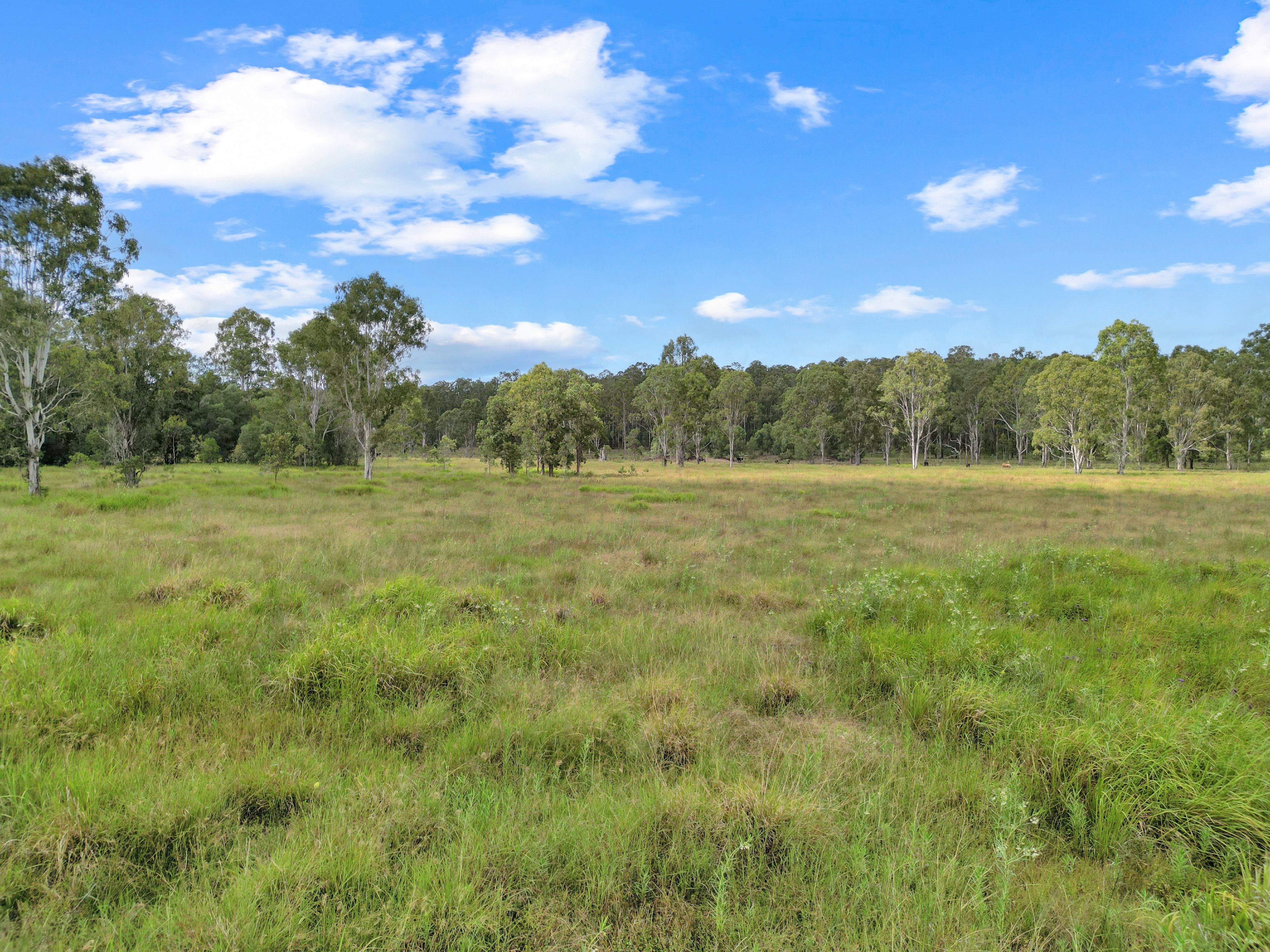 Lot 145 Ellangowan Myrtle Creek Road Ellangowan Via — photo 4 of 11