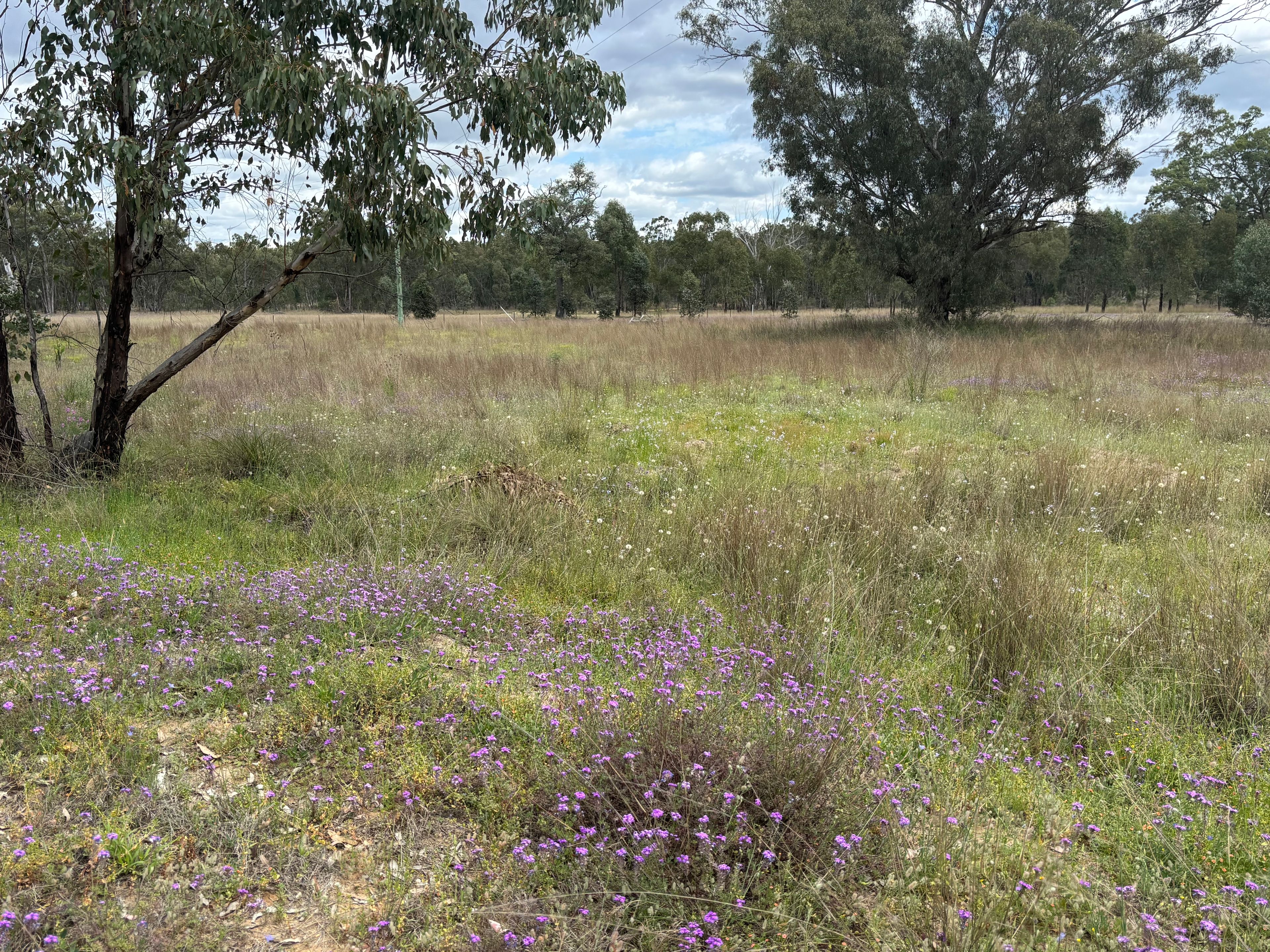 93 Fairford Road, Warialda NSW 2402