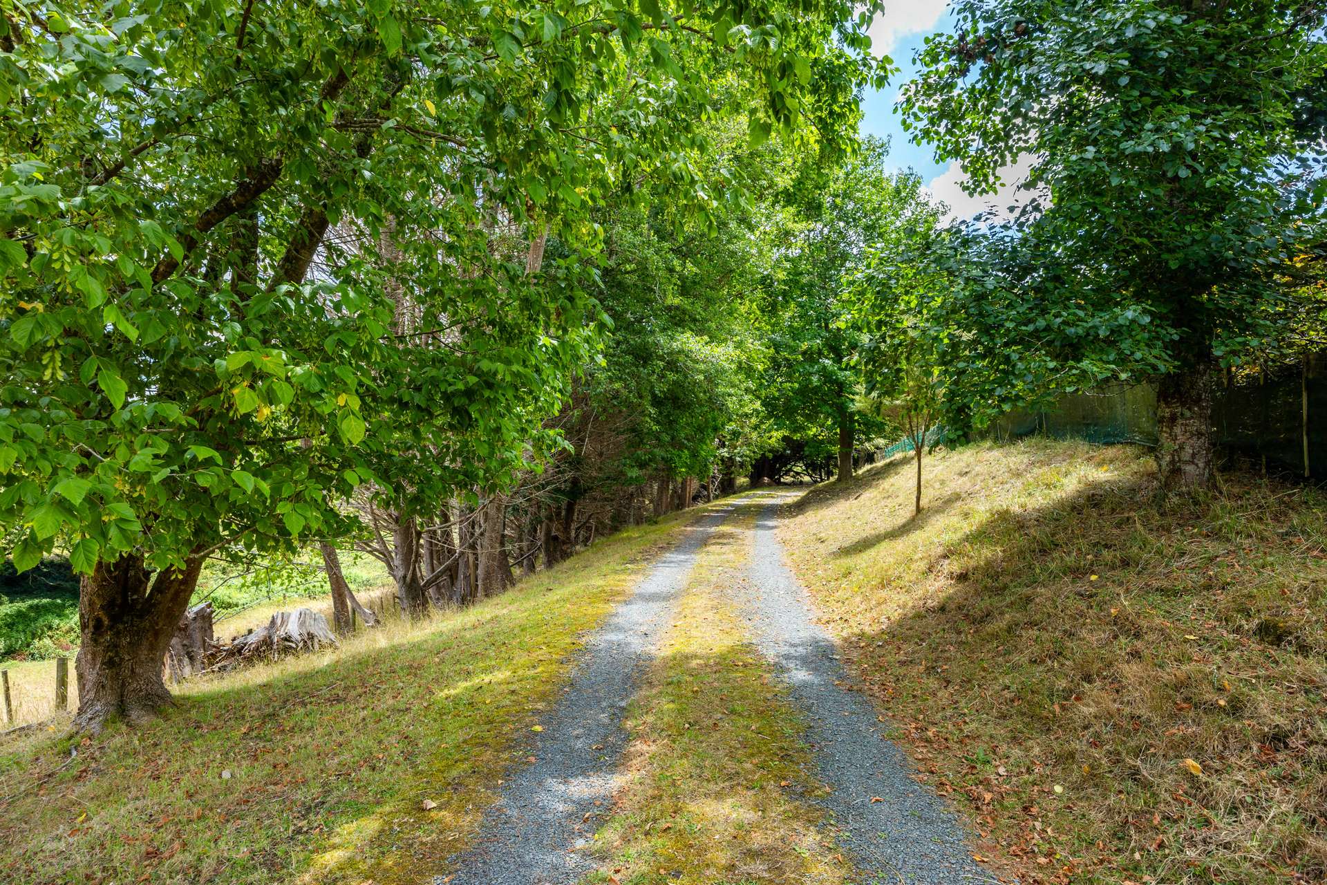 196 Tomarata Valley Road photo 40