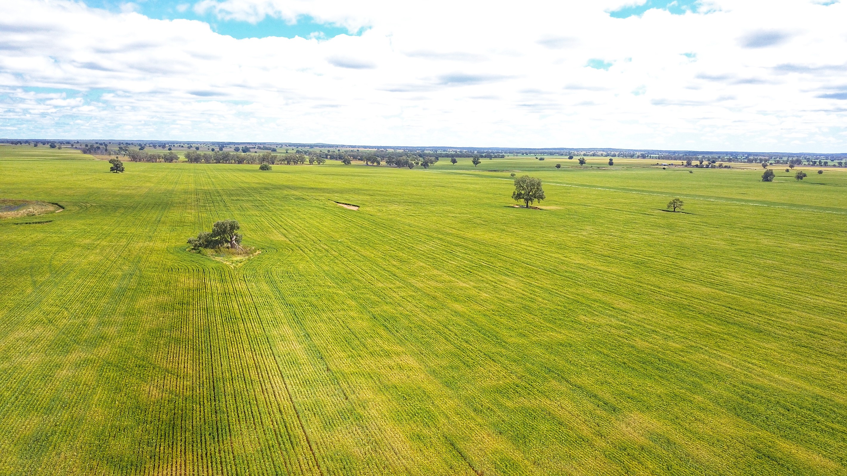 Ioanumba 190 Ootha Road, Trundle, NSW 2875