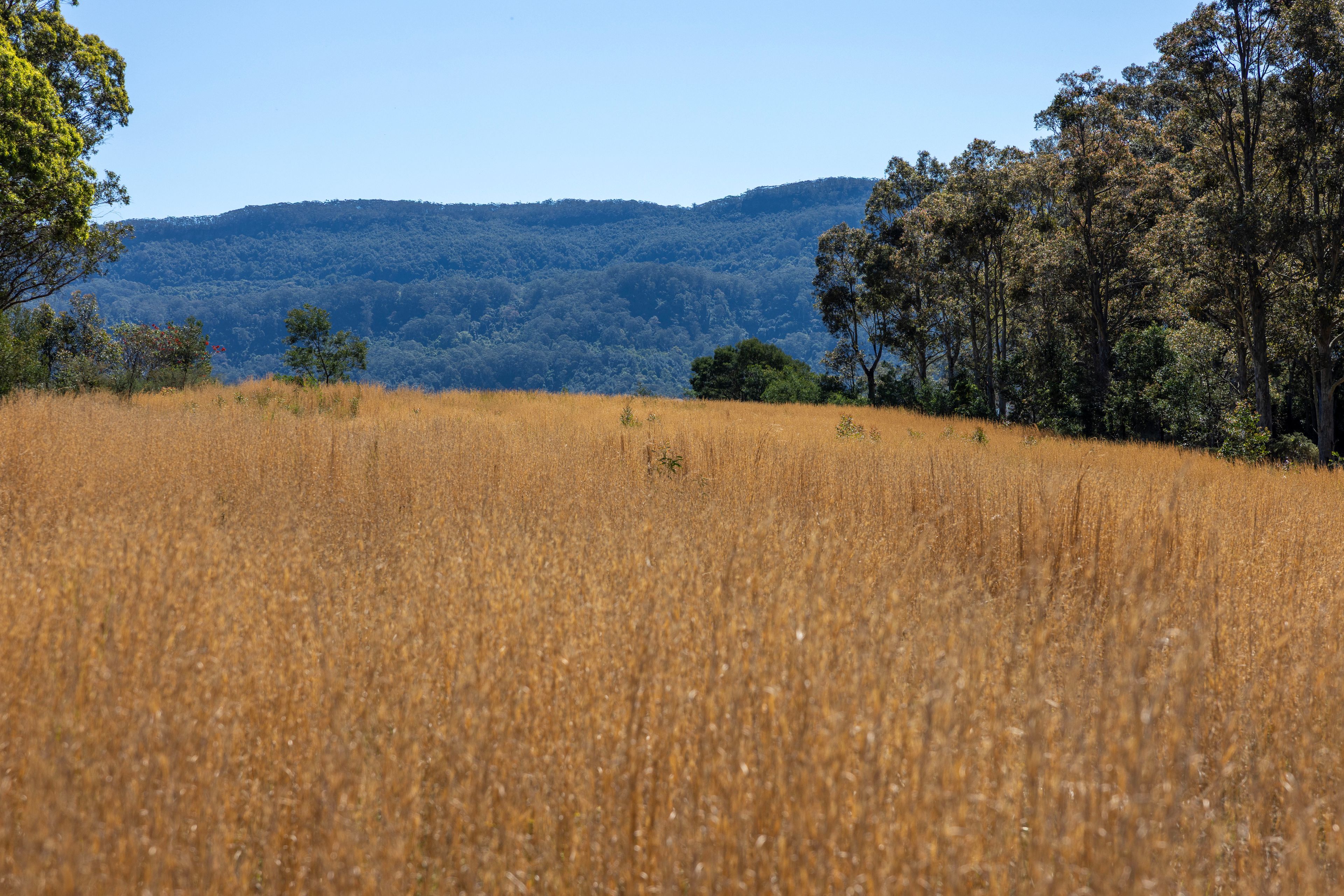 Lot 311, 104 Taylors Lane — photo 9 of 12