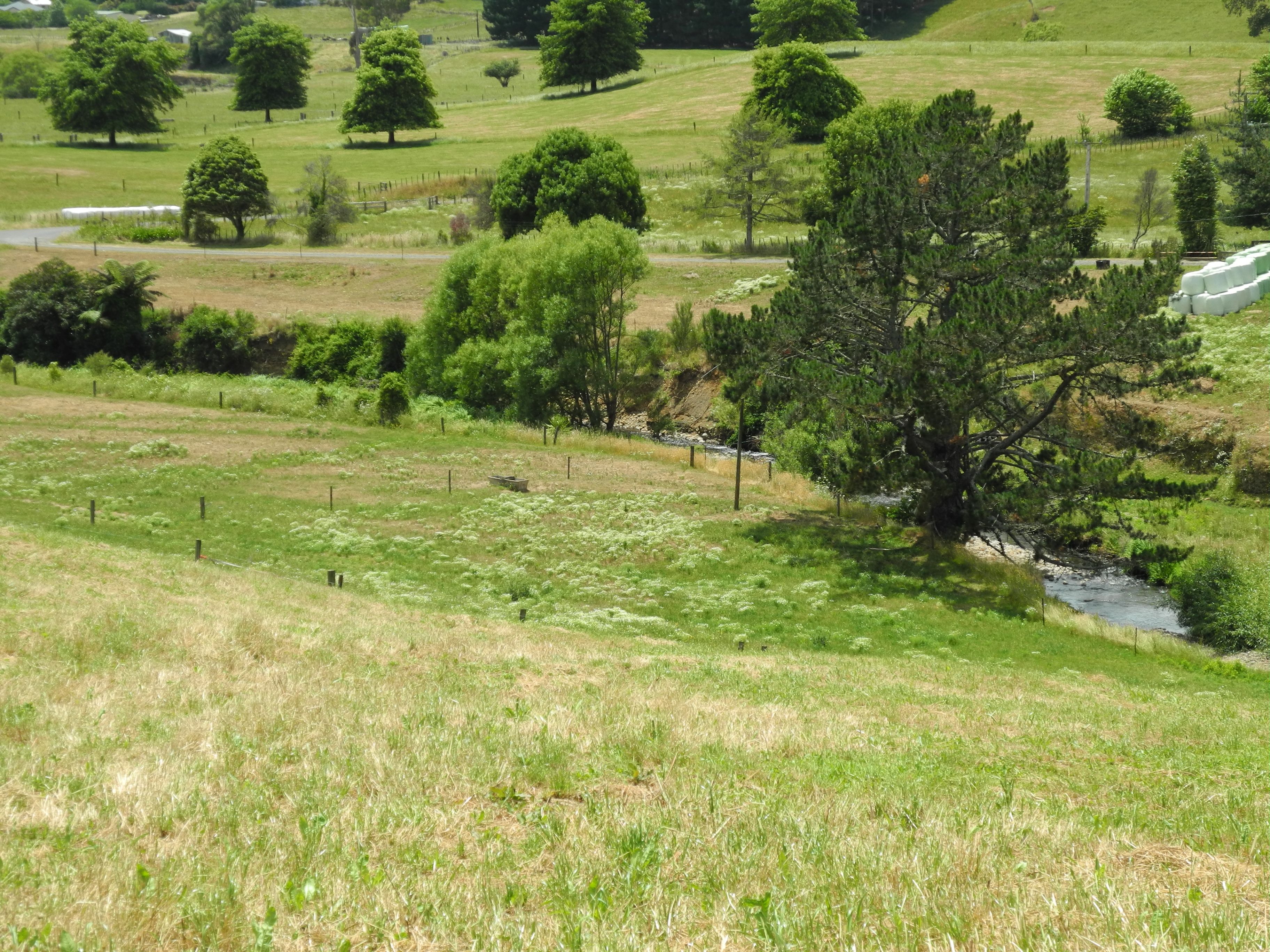 0/Lot 1 Hanning Road, Pirongia, Waipa District