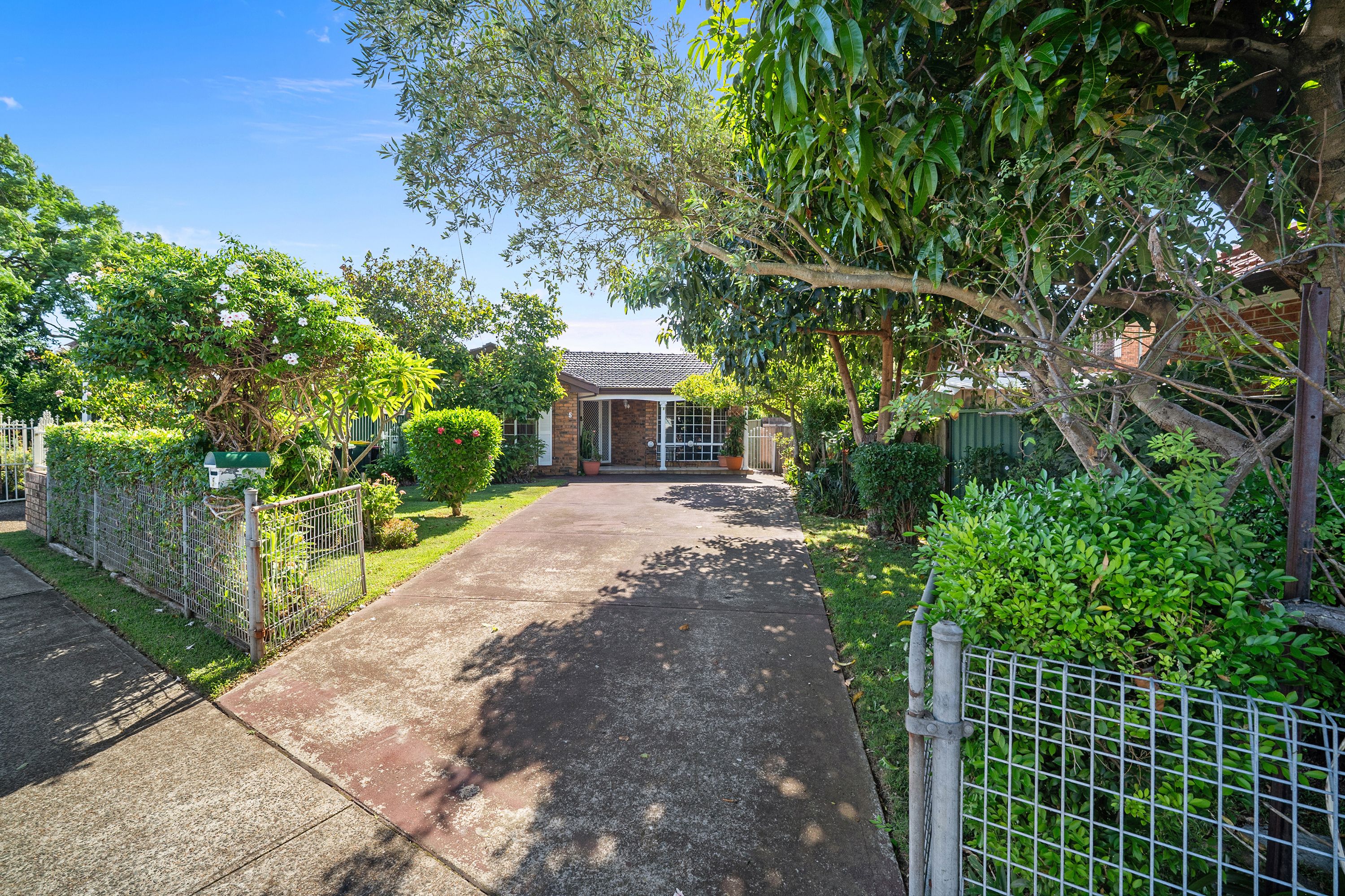 5 Shelley Street, Campsie, NSW 2194