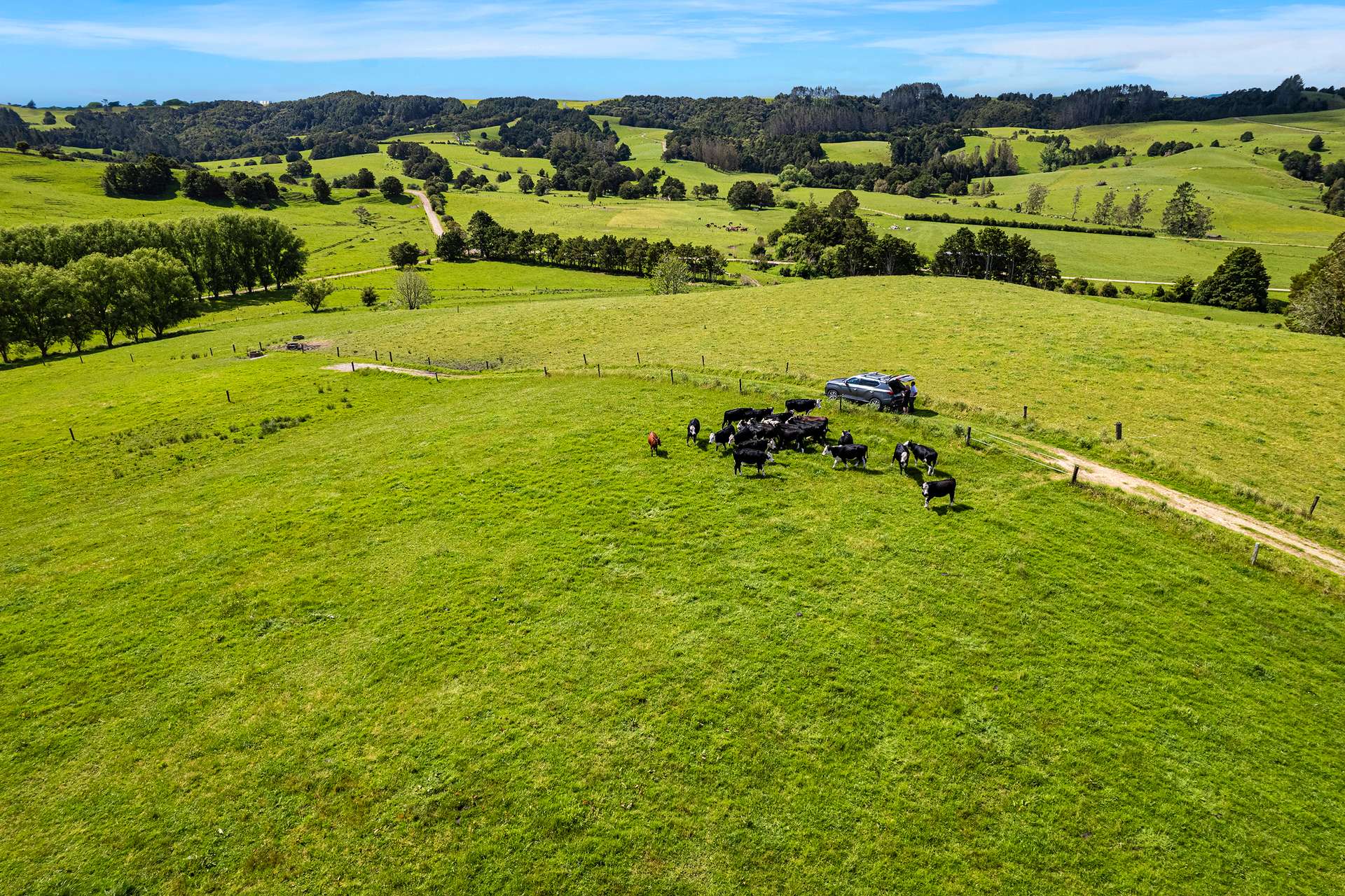 Lot 3 Hukerenui Road photo 8