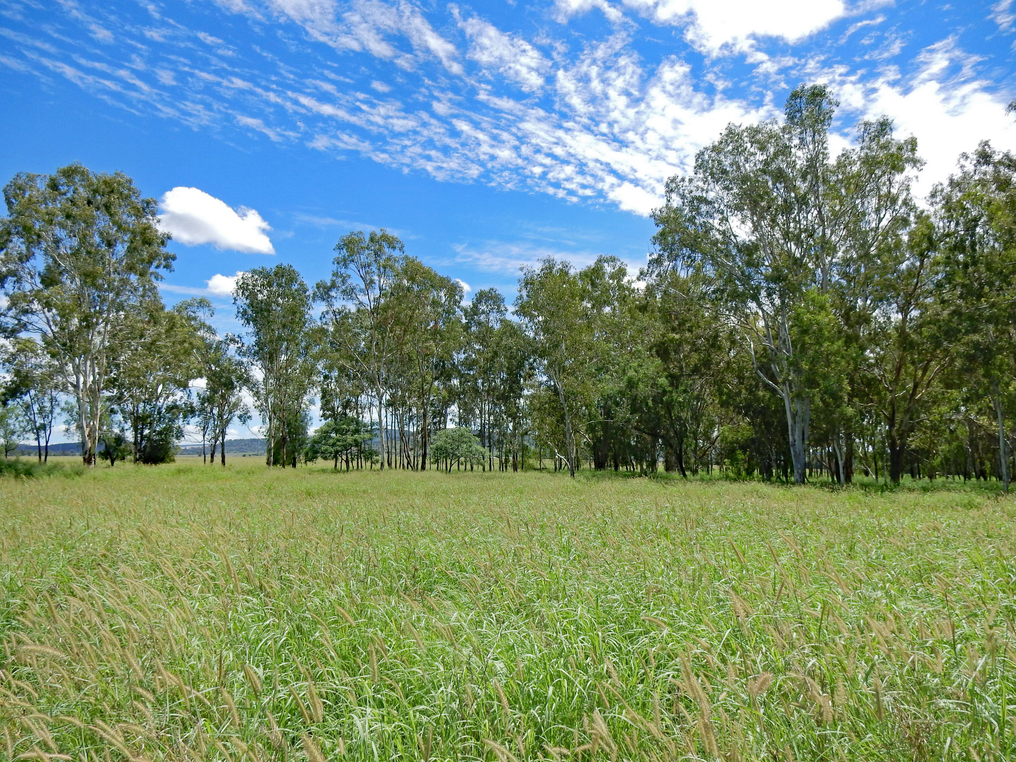 225 Biloela Callide Road, Mount Murchison, QLD 4715 Sold Rural Mixed