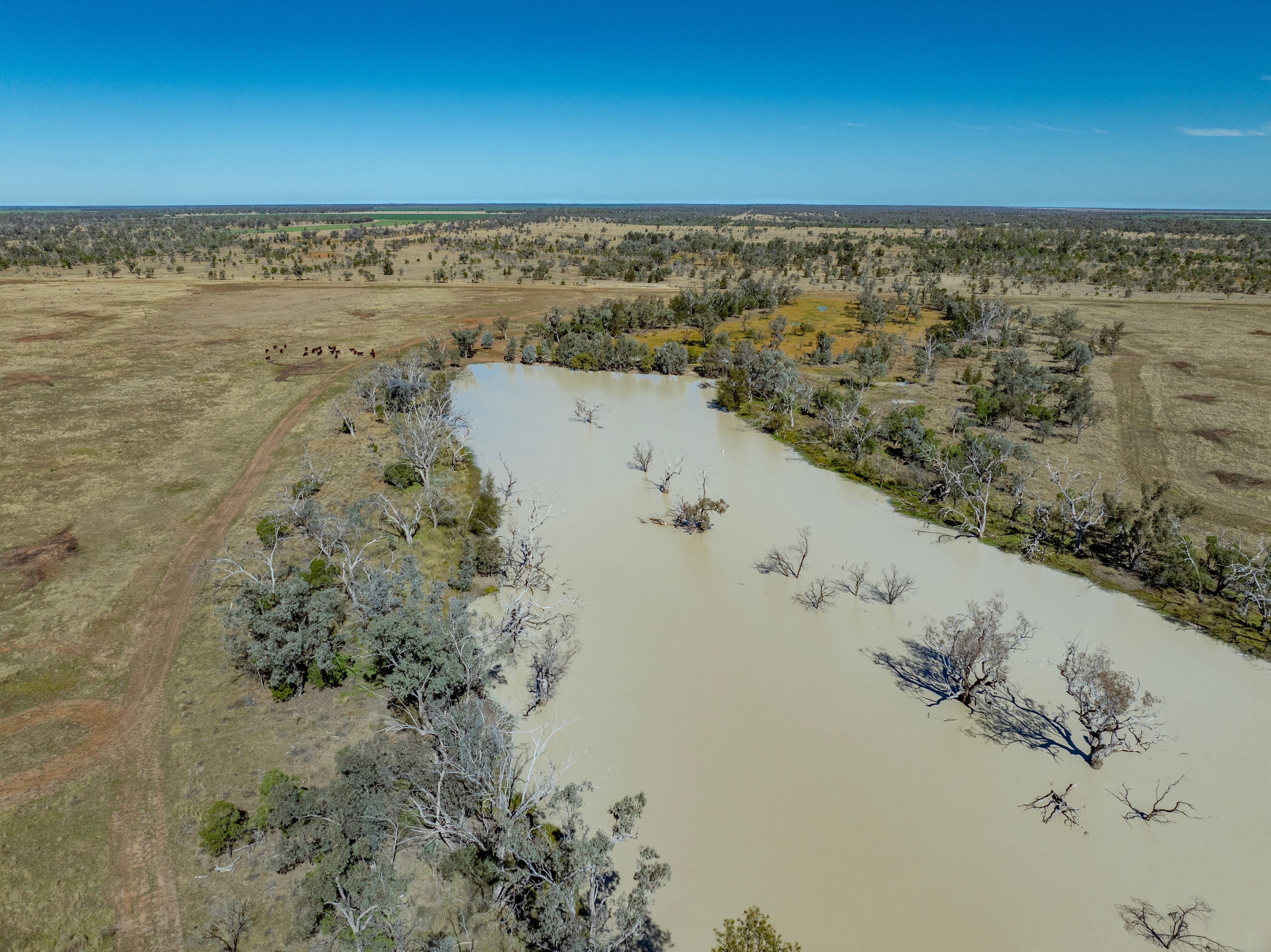 6210 Carnarvon Highway — photo 14 of 23