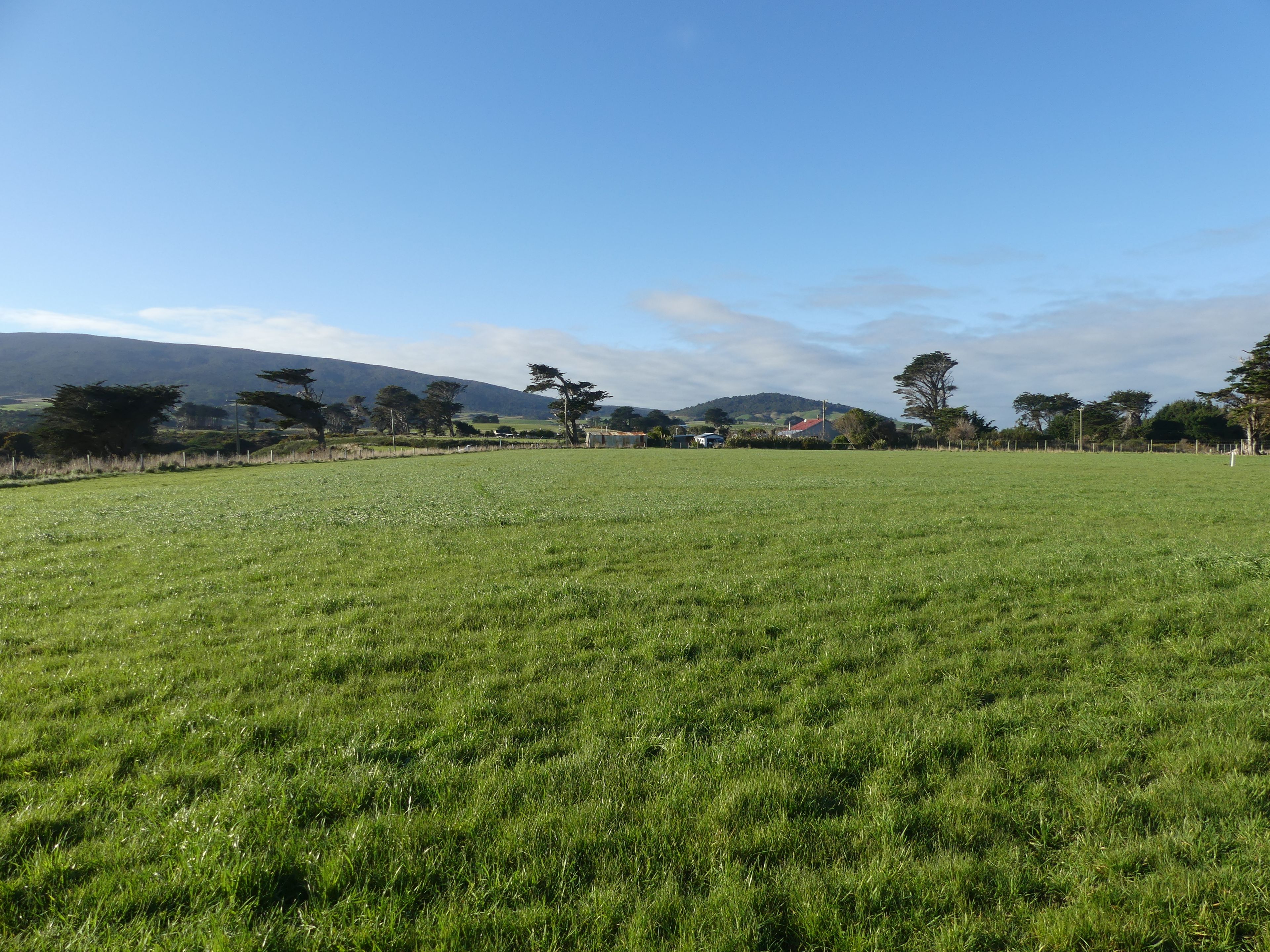 11 Thomas Road, Orepuki, Southland District