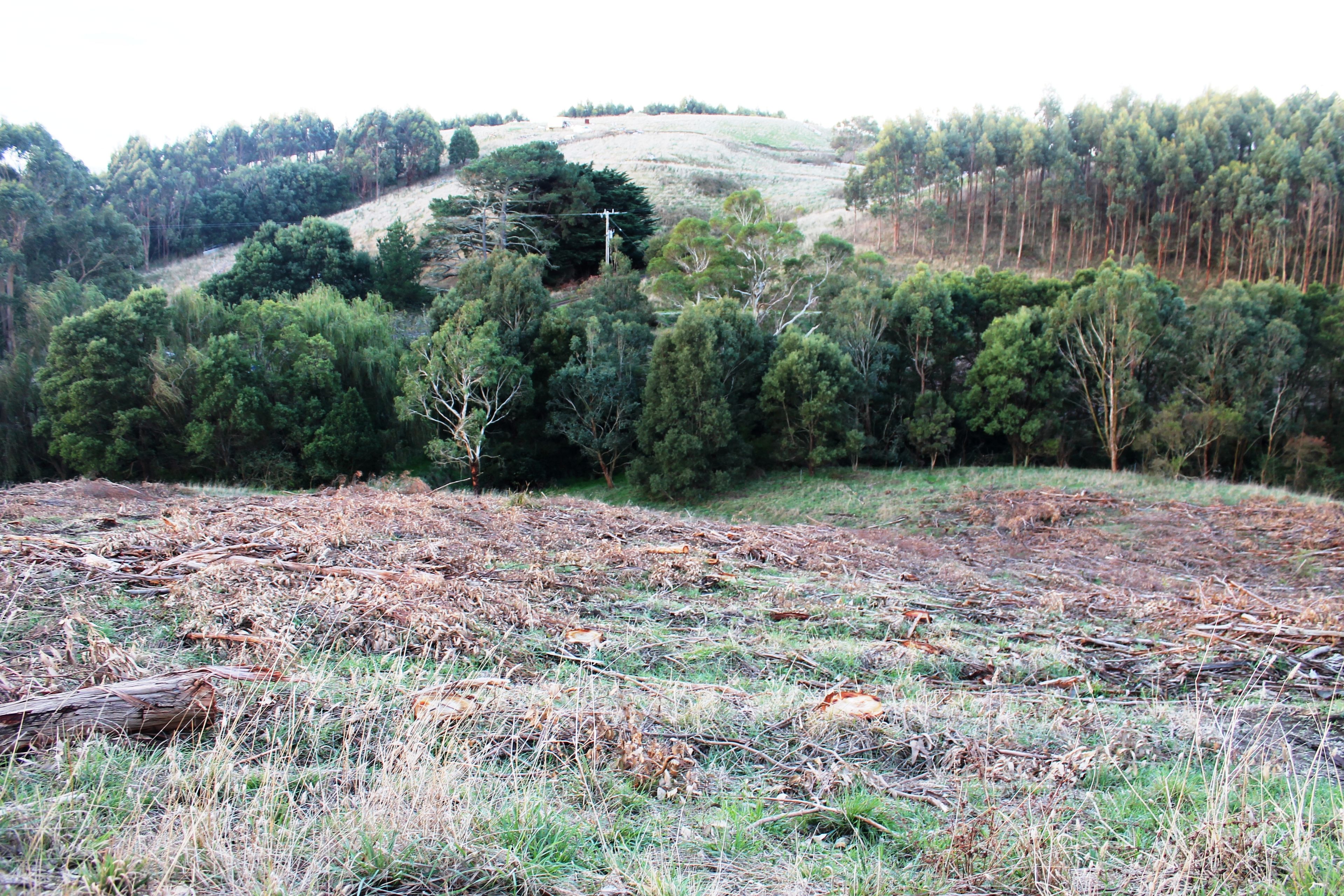 'Boyle' 180 and 190 Helms Road, Stony Creek, VIC 3957