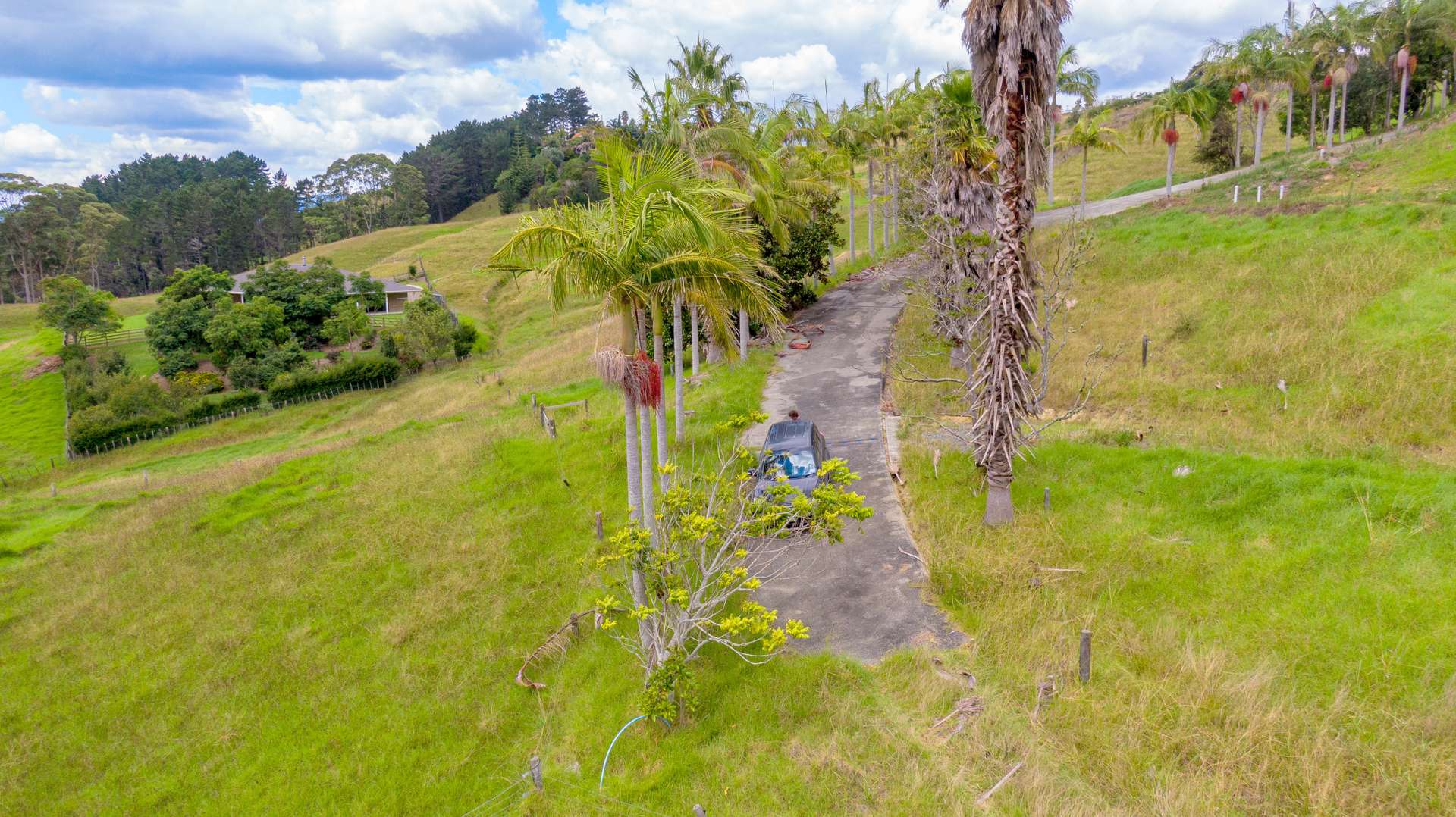 Lot 2 Okahu Road photo 7