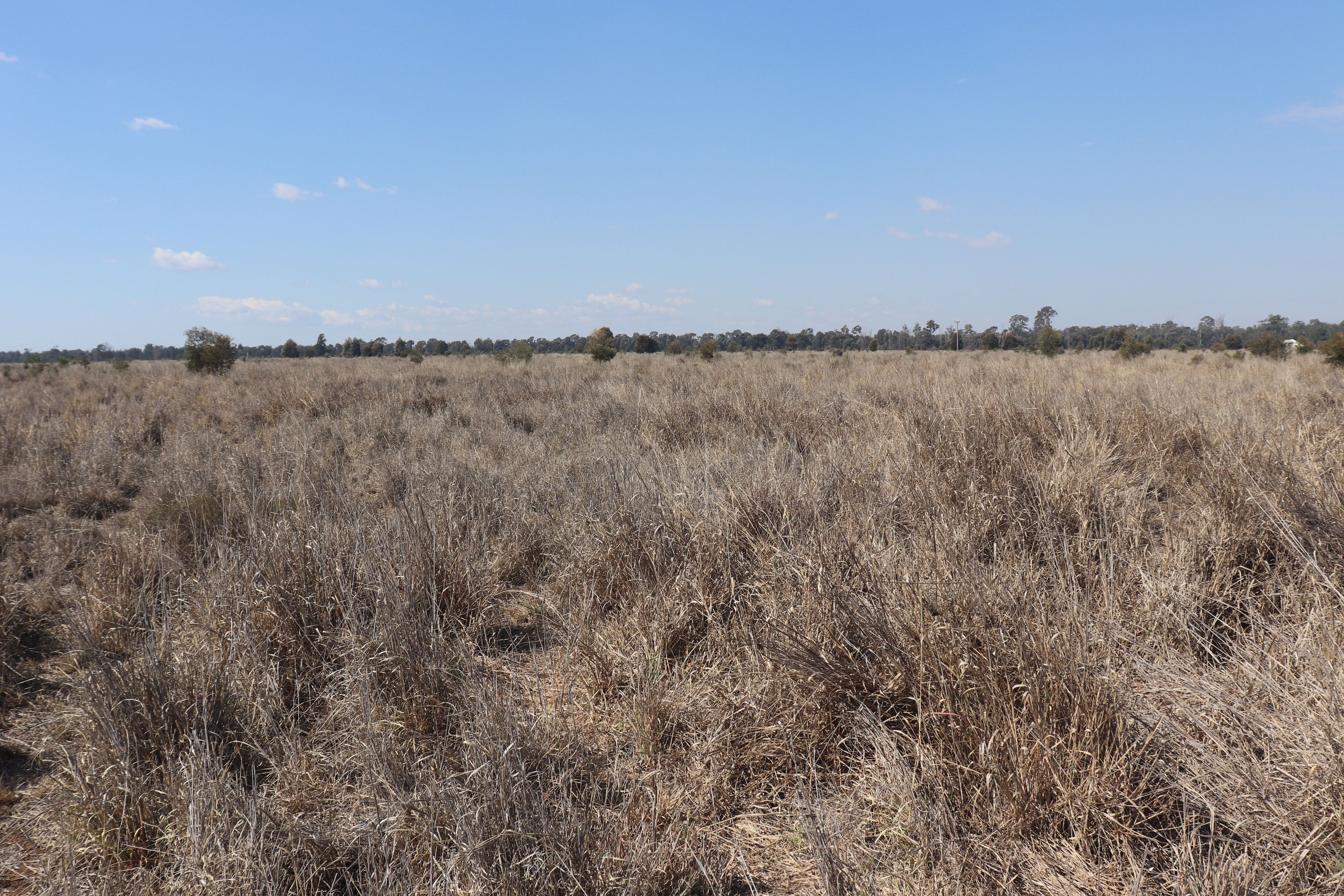 3053 Burra Burri Creek Road, BURRA BURRI, QLD 4413 Sold Rural Mixed