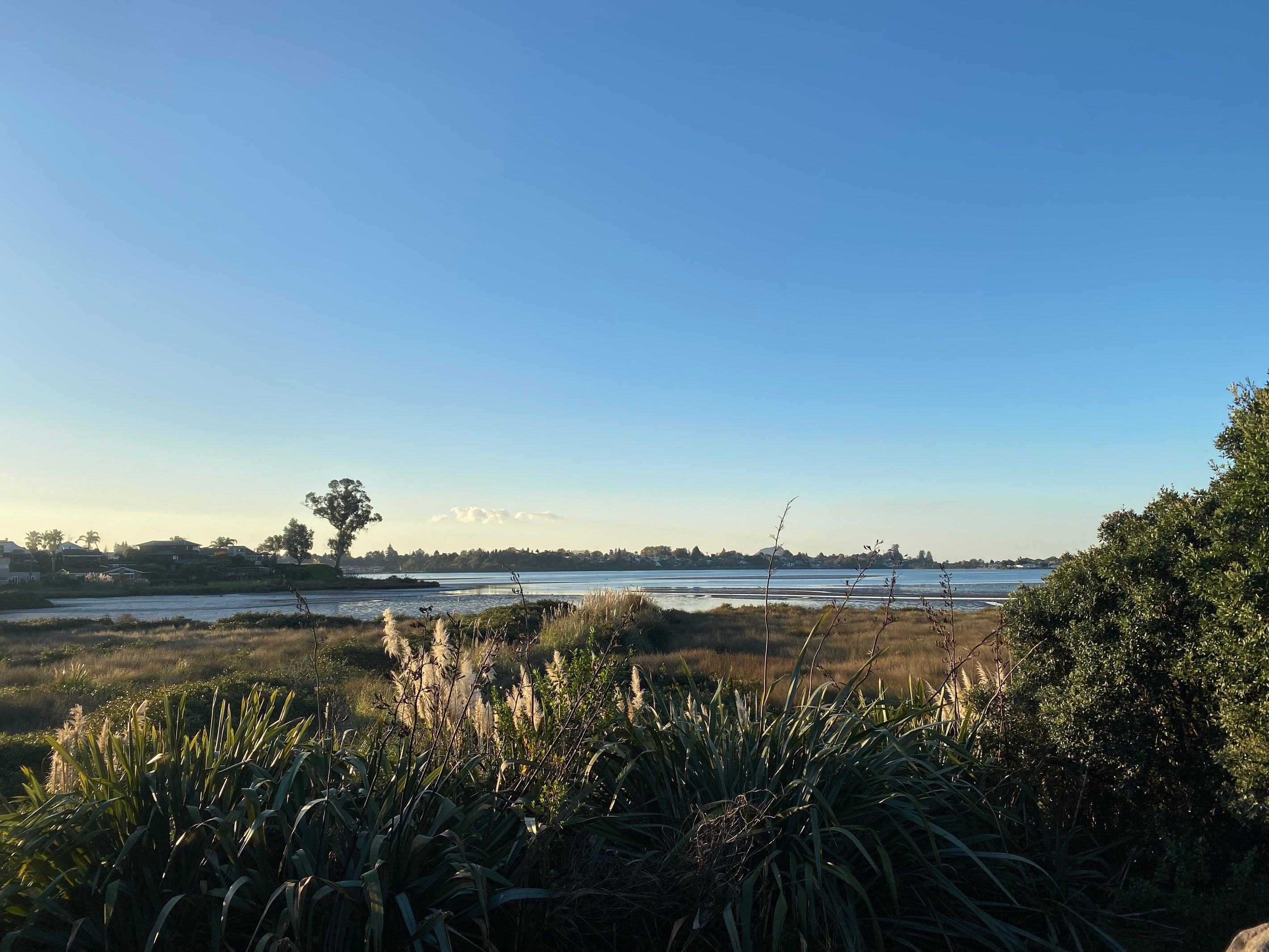 31 Tangaroa Place, Poike, Tauranga City