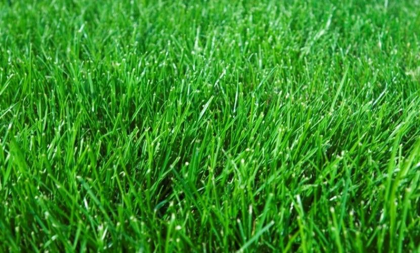 Lot 833 Gracilis Rise, South Nowra, NSW 2541