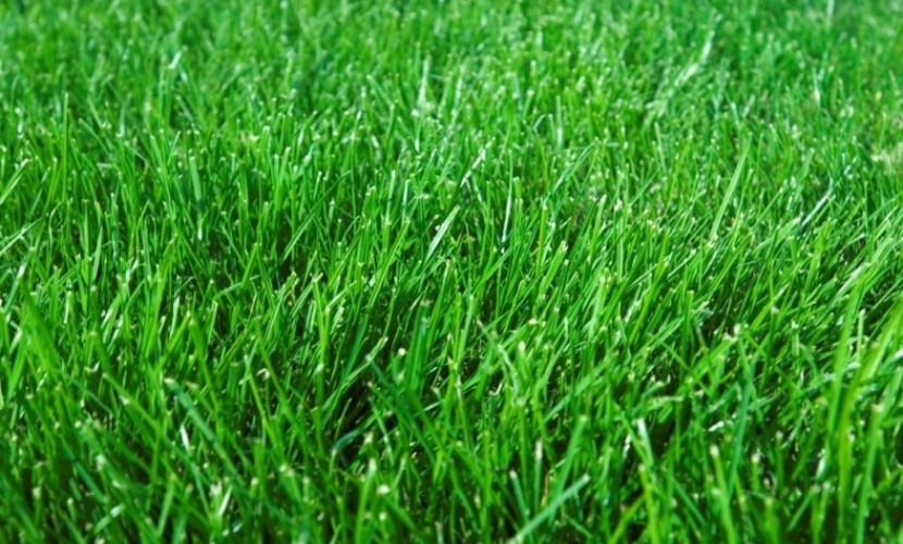 Lot 833 Gracilis Rise, South Nowra, NSW 2541