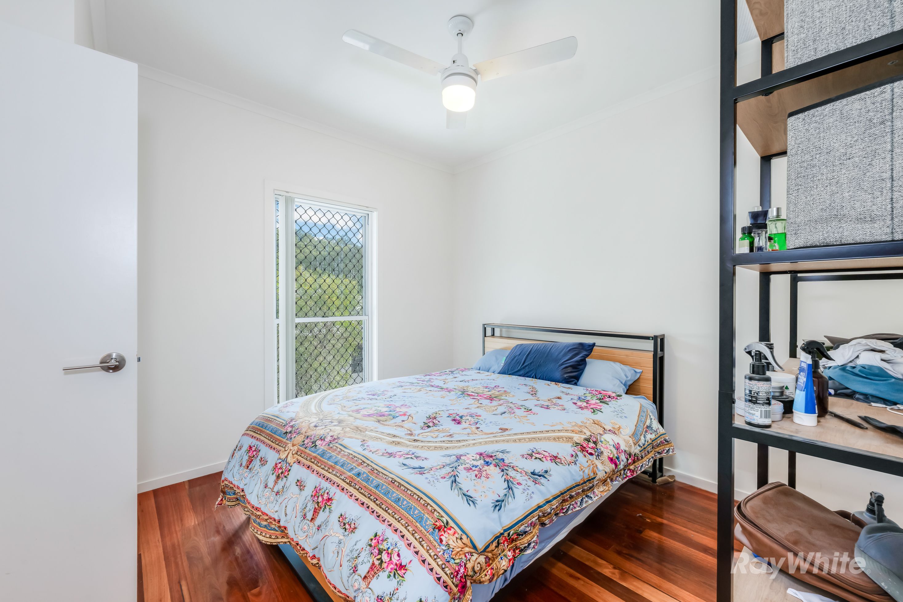 4 Shand Street — photo 10 of 30